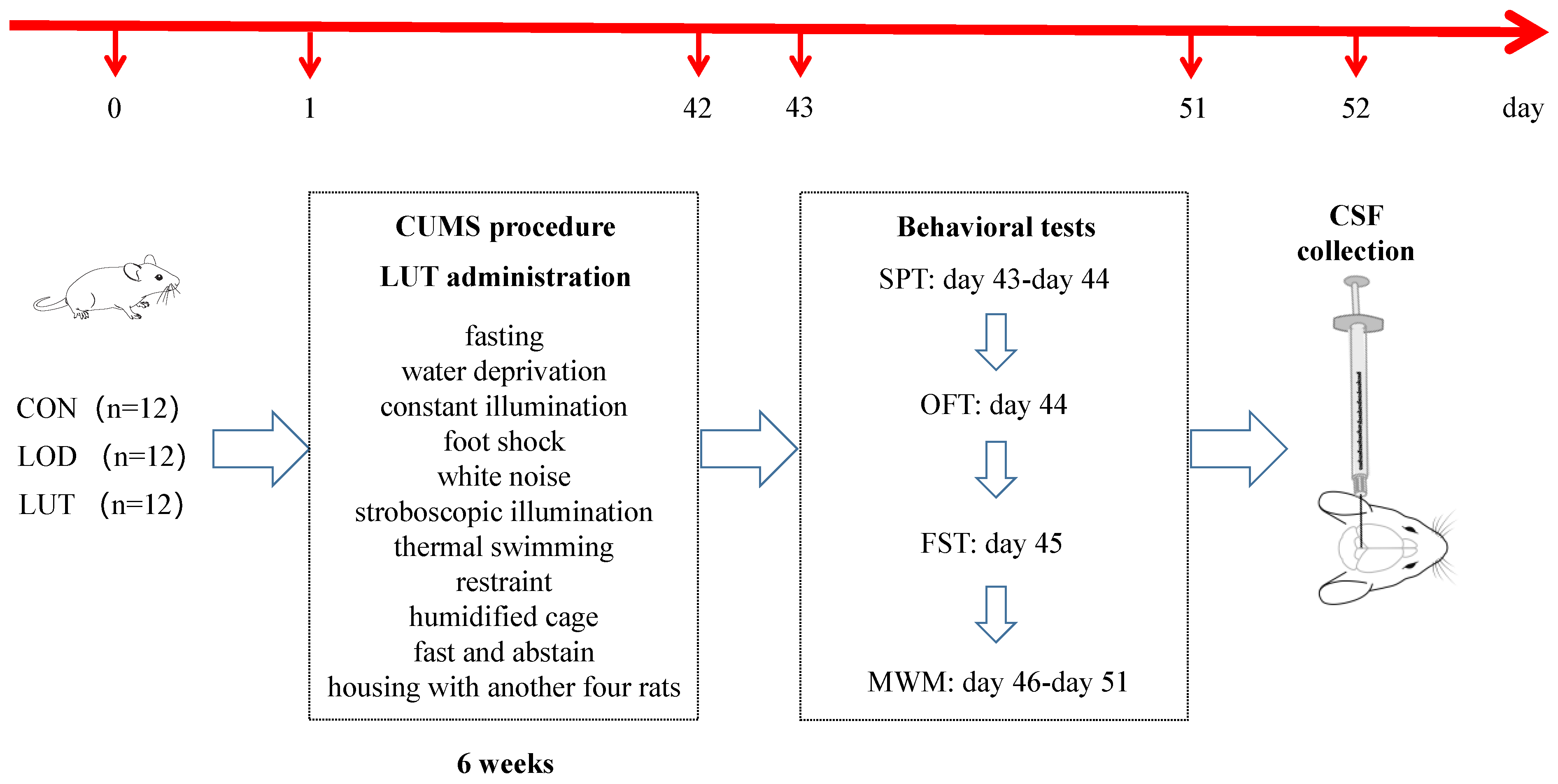 Ijms 24 03485 g011 Ijms 24 03485 g011
