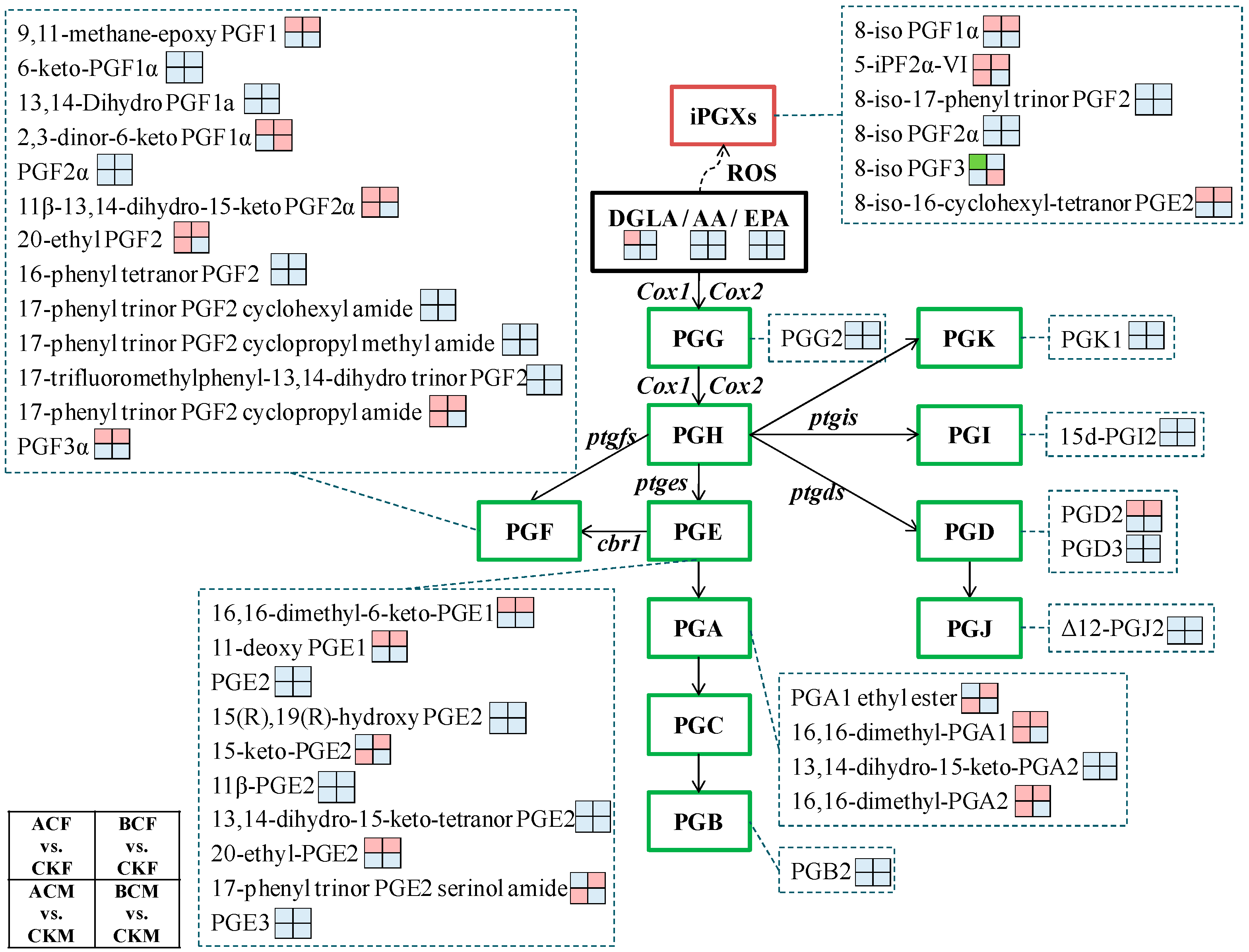 Ijms 24 03488 g004 Ijms 24 03488 g004