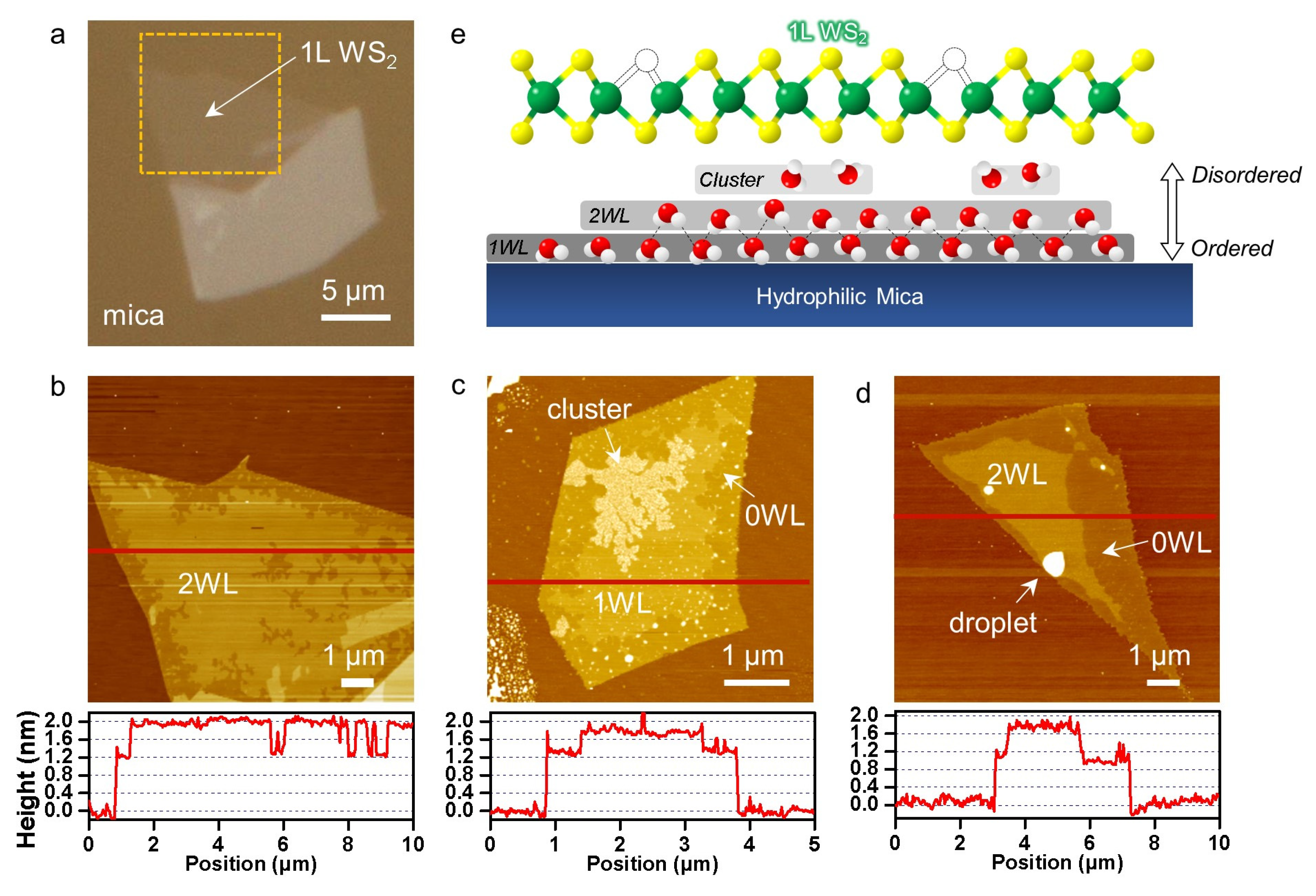 Ijms 24 03492 g001 Ijms 24 03492 g001