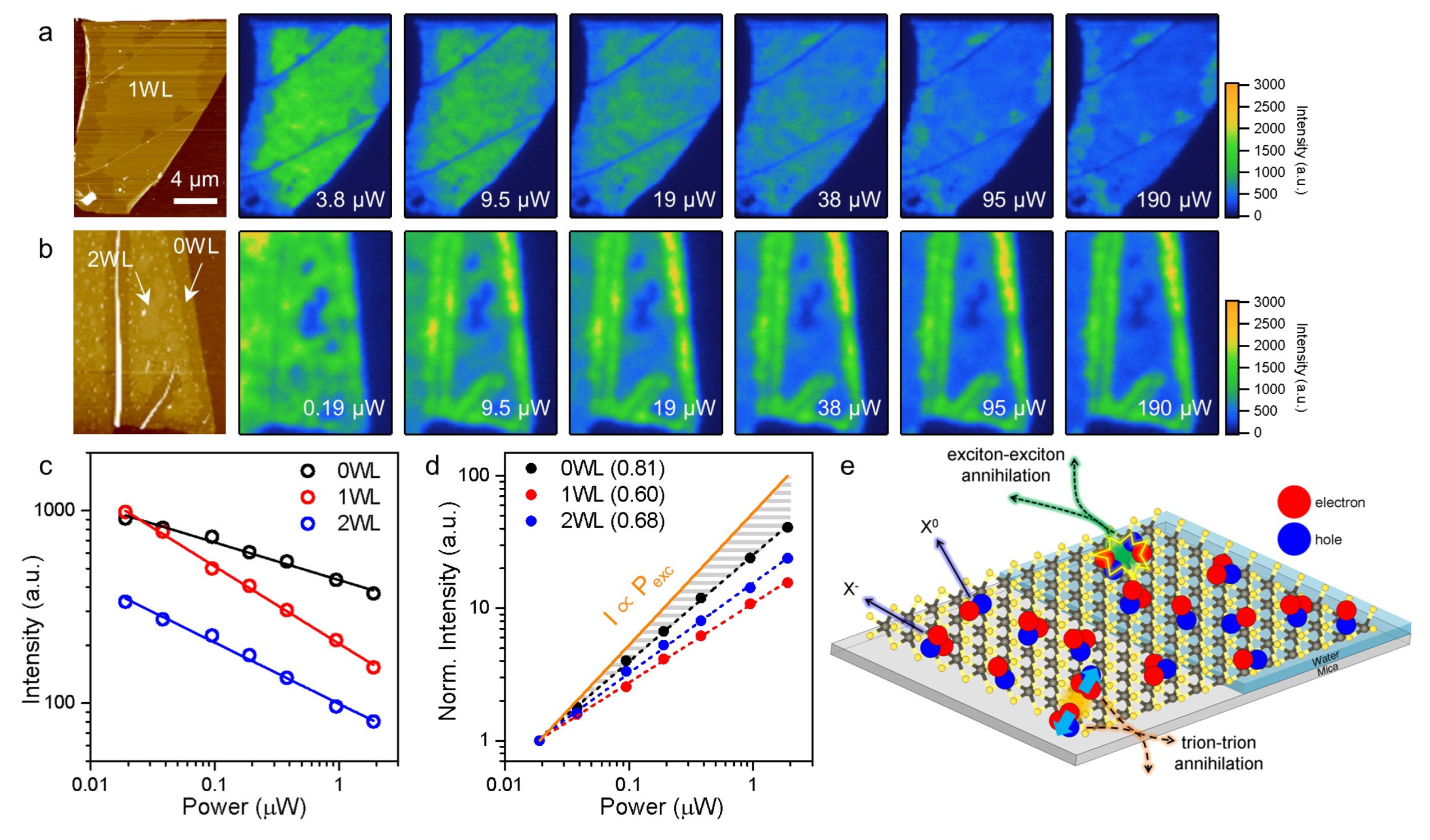 Ijms 24 03492 g003 Ijms 24 03492 g003