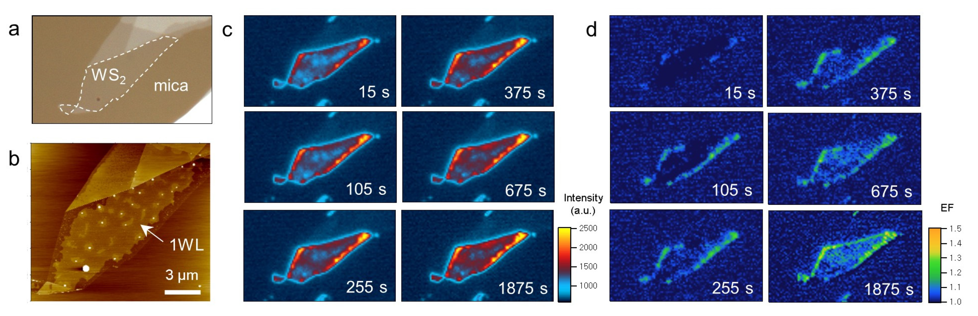 Ijms 24 03492 g004 Ijms 24 03492 g004