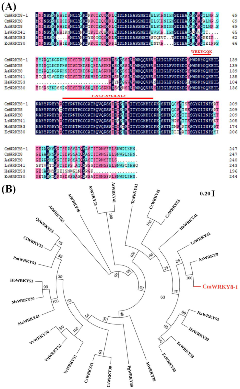 Ijms 24 03499 g001 Ijms 24 03499 g001