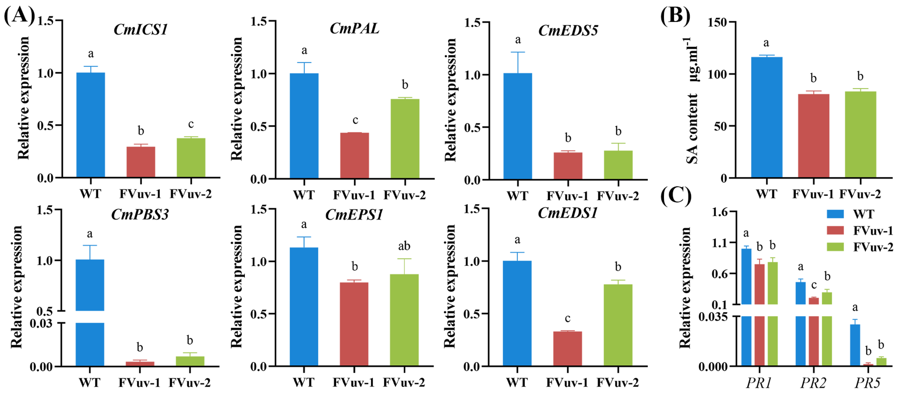 Ijms 24 03499 g006 Ijms 24 03499 g006