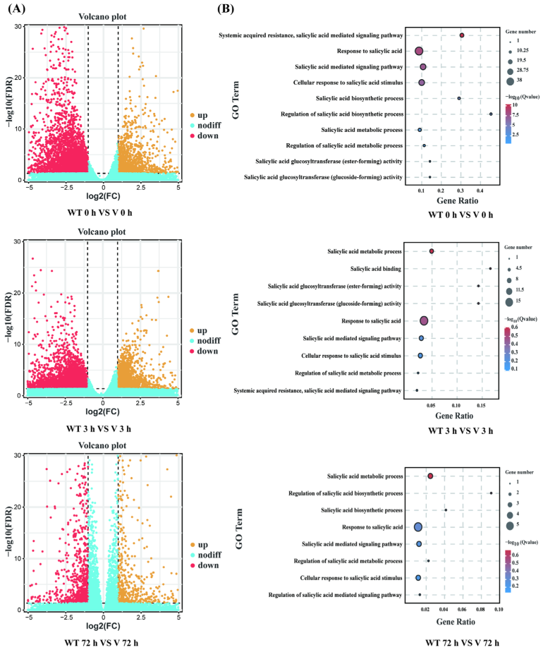 Ijms 24 03499 g007 Ijms 24 03499 g007