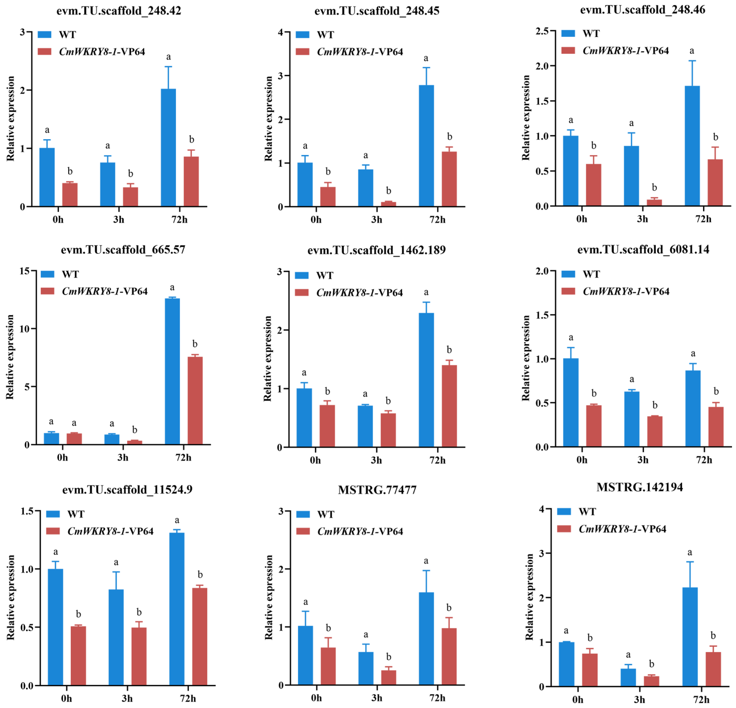 Ijms 24 03499 g008 Ijms 24 03499 g008