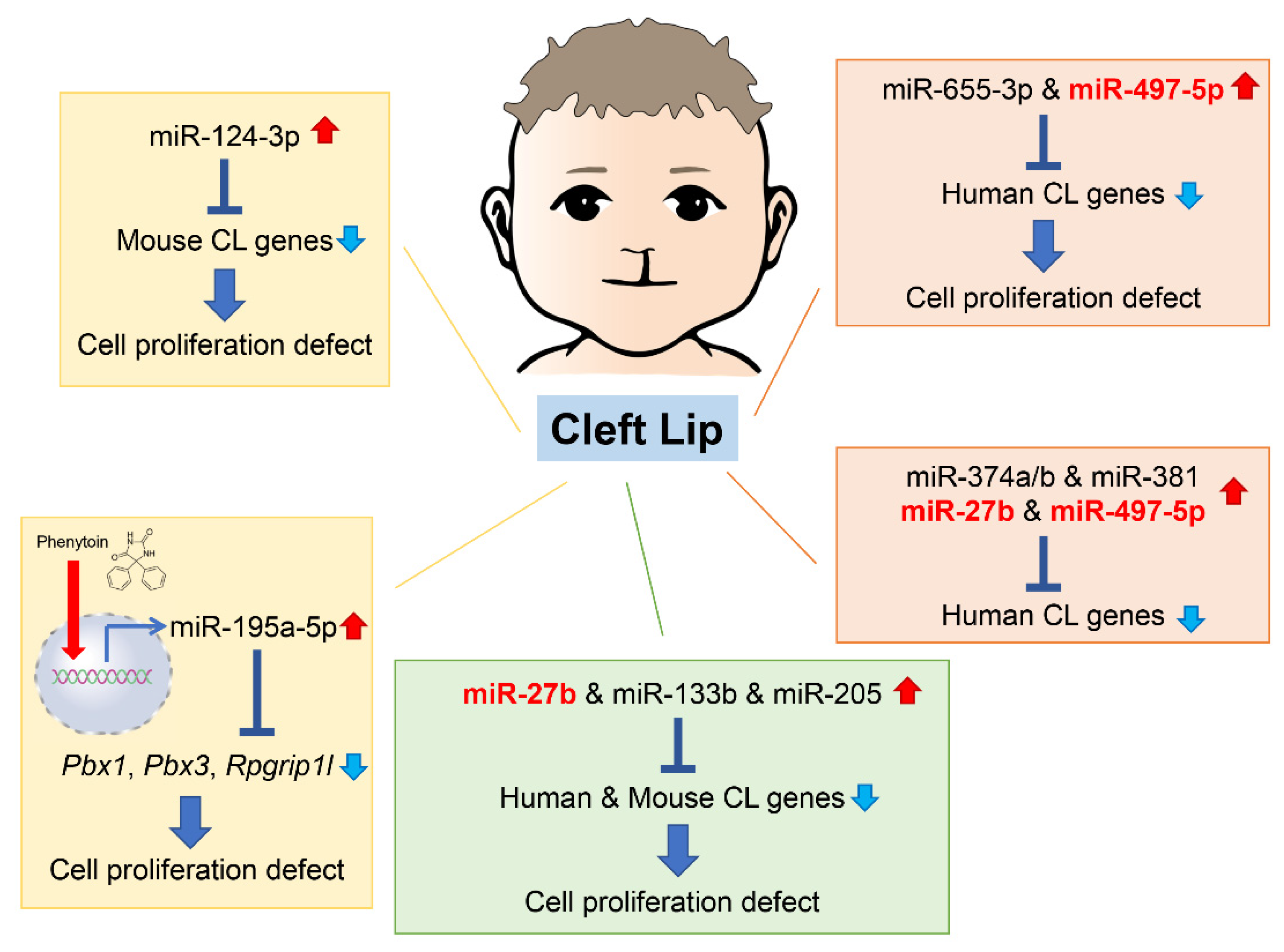 Ijms 24 03552 g003 Ijms 24 03552 g003