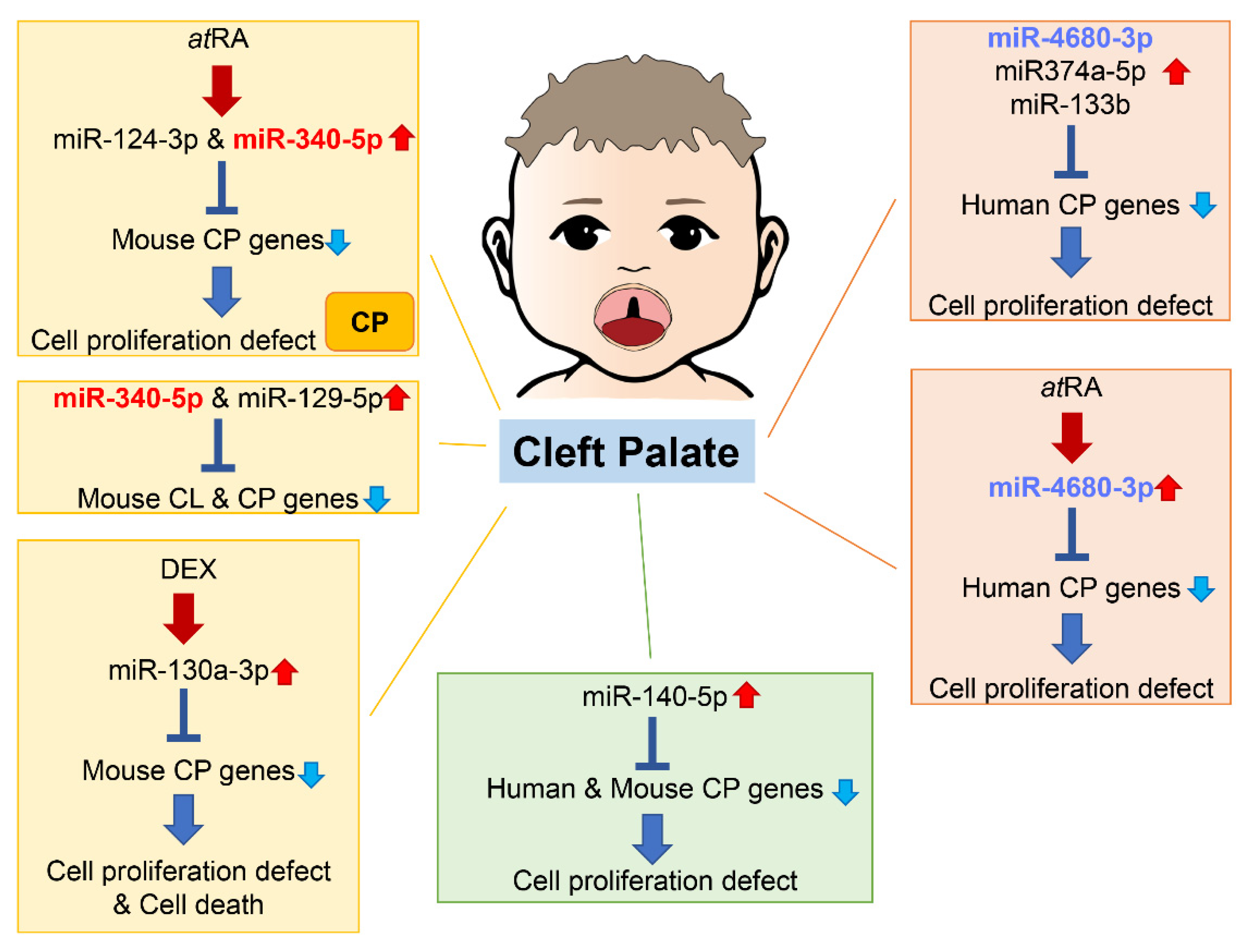 Ijms 24 03552 g004 Ijms 24 03552 g004