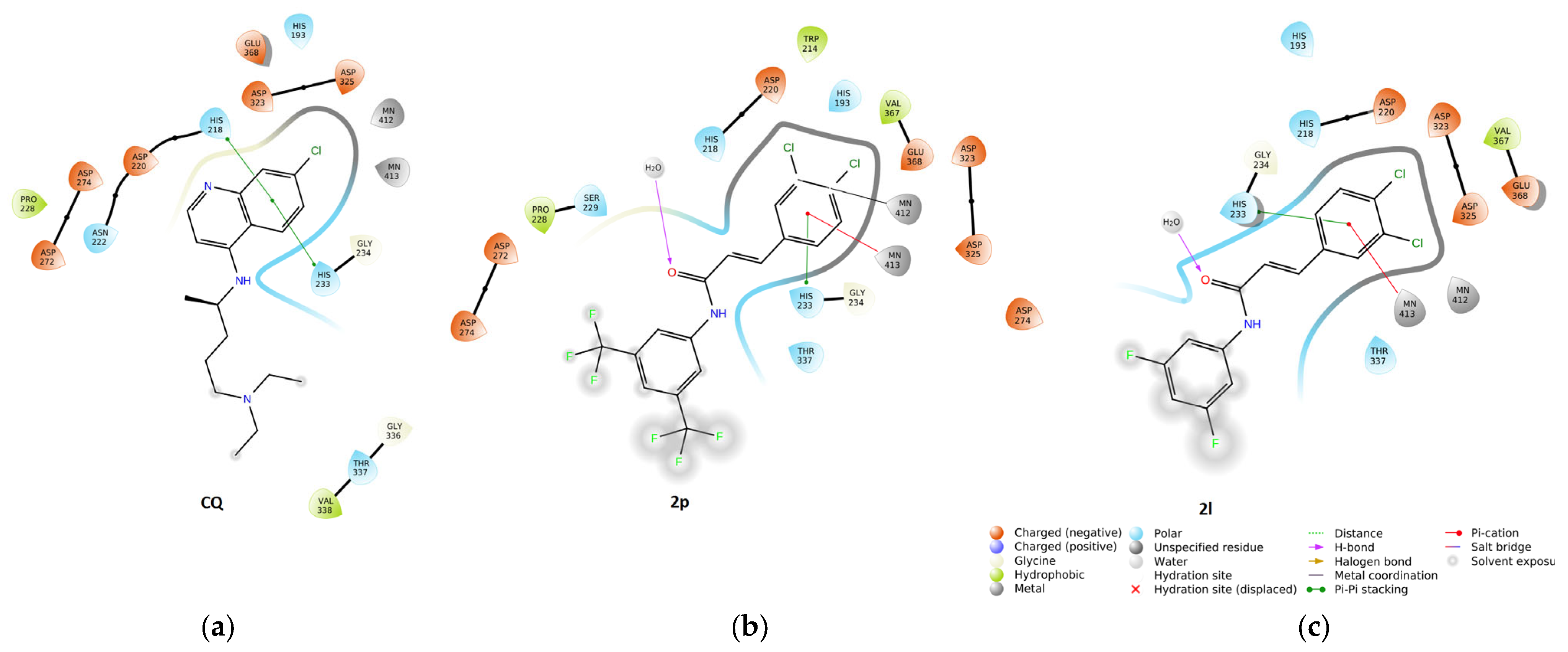 Ijms 24 03611 g008 Ijms 24 03611 g008