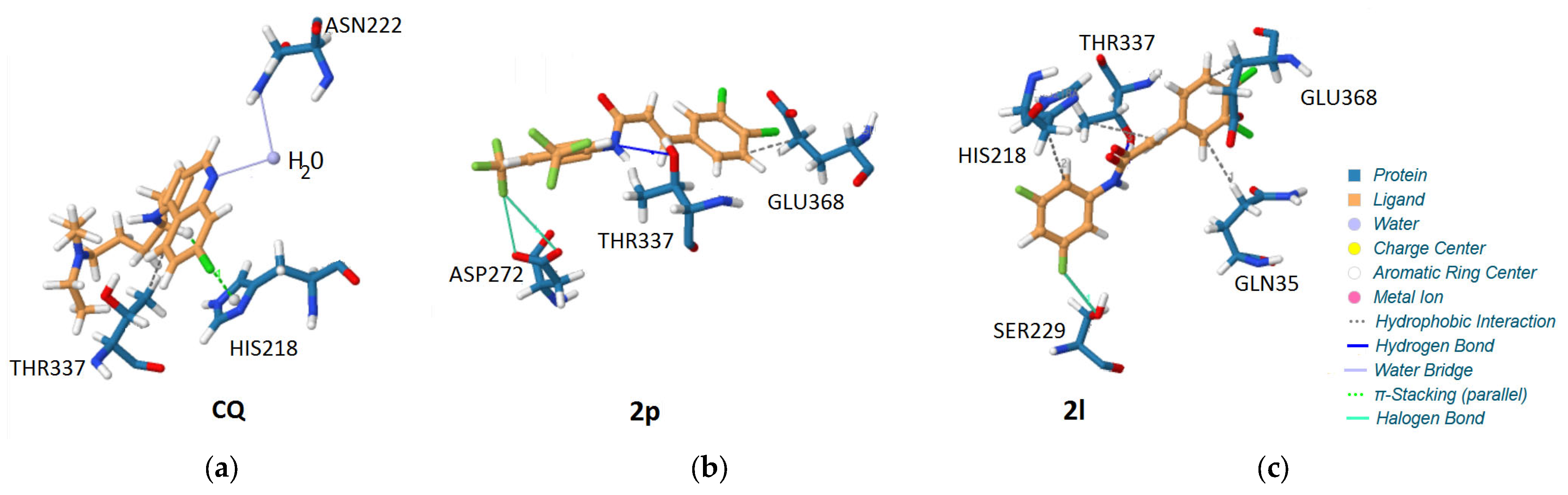 Ijms 24 03611 g009 Ijms 24 03611 g009