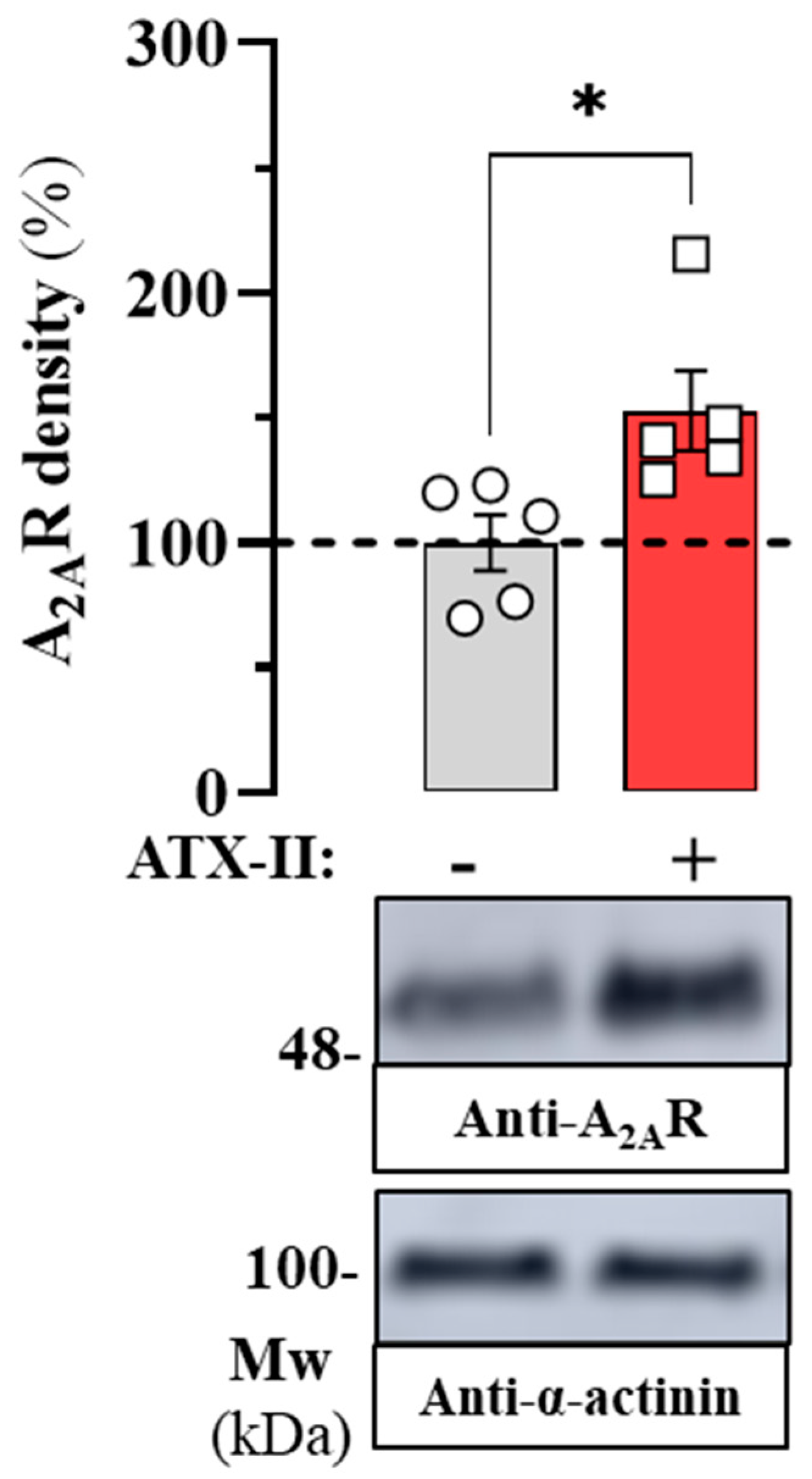 Ijms 24 03668 g002 Ijms 24 03668 g002