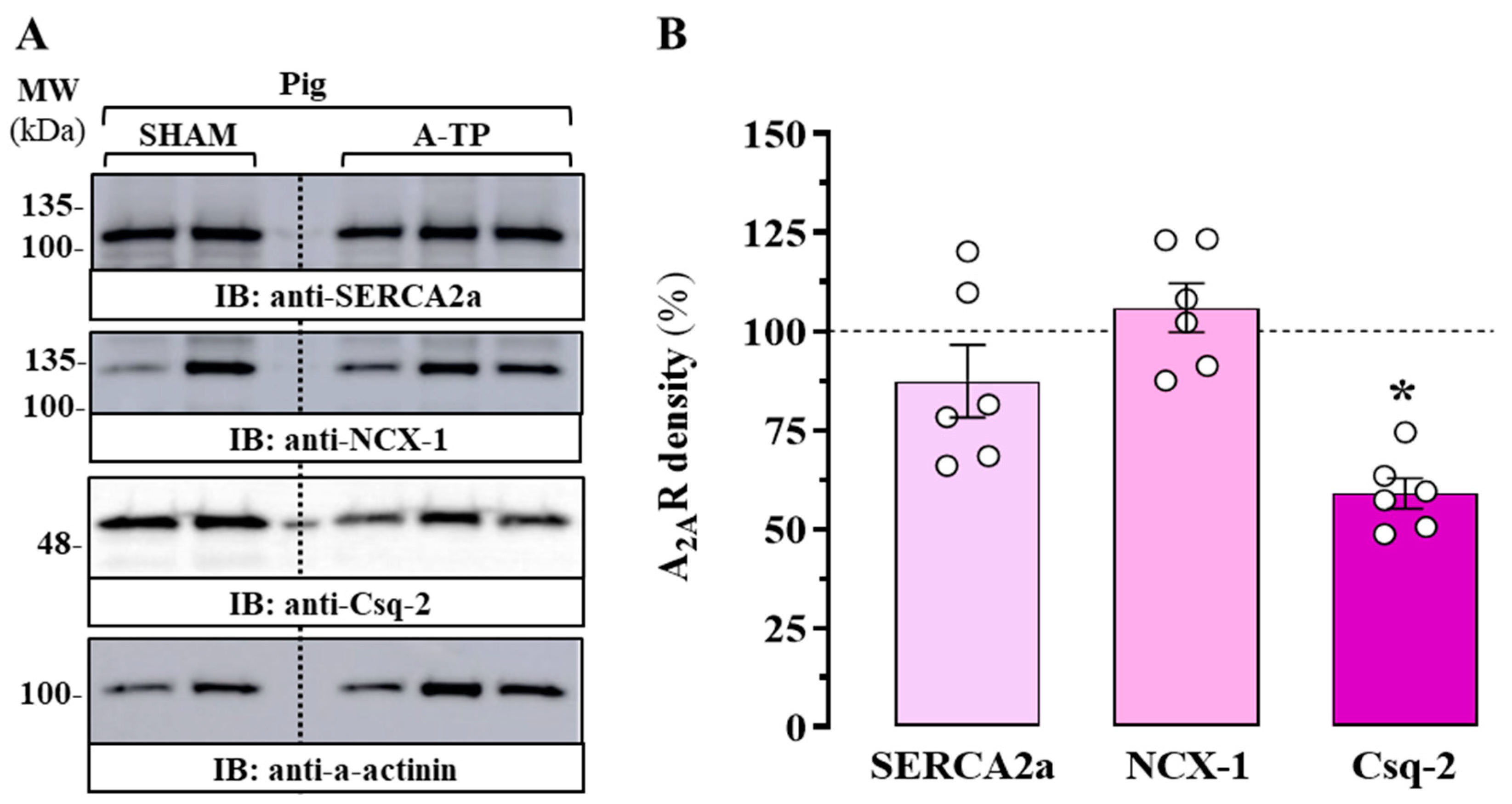 Ijms 24 03668 g003 Ijms 24 03668 g003