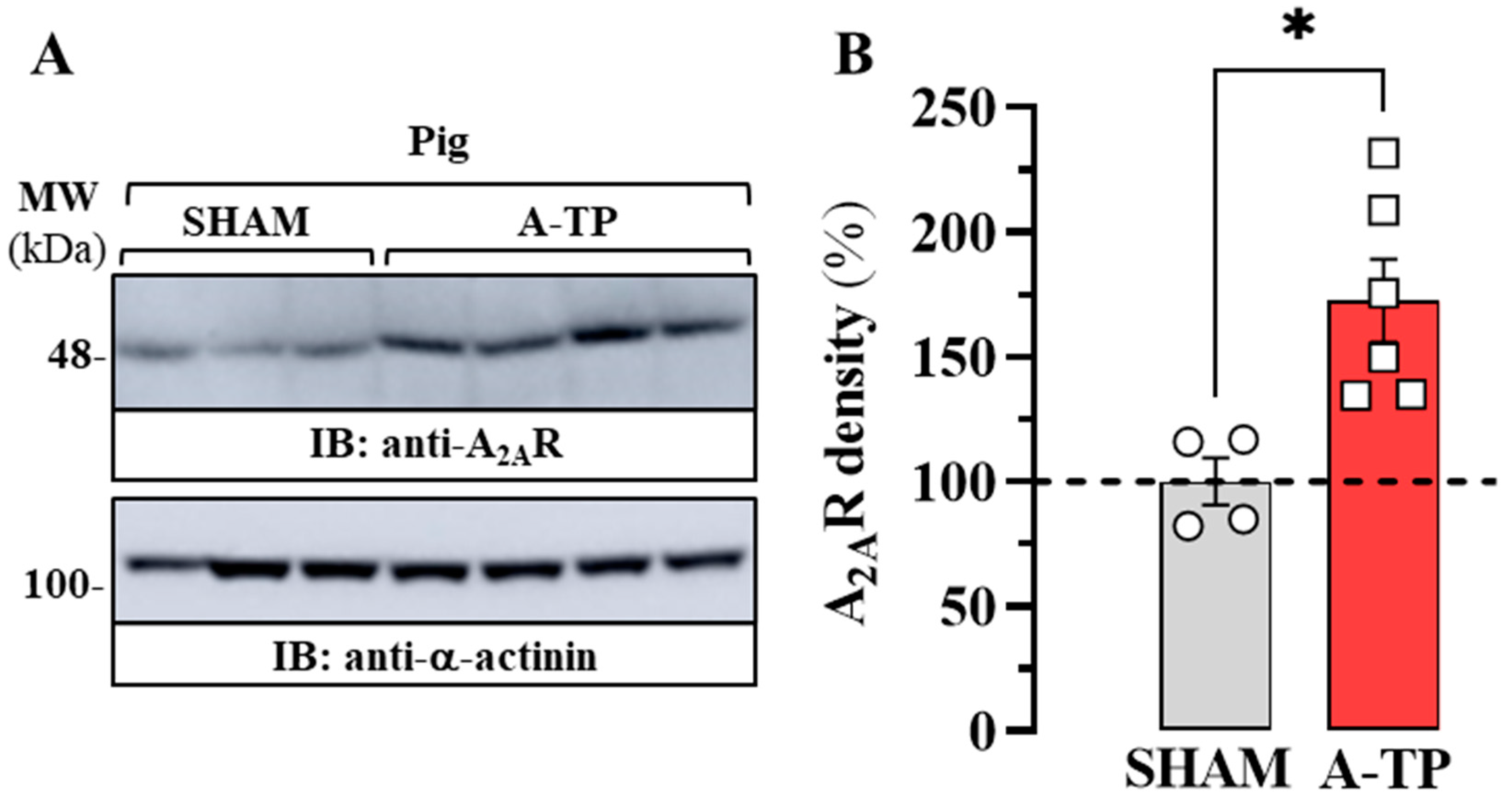 Ijms 24 03668 g004 Ijms 24 03668 g004