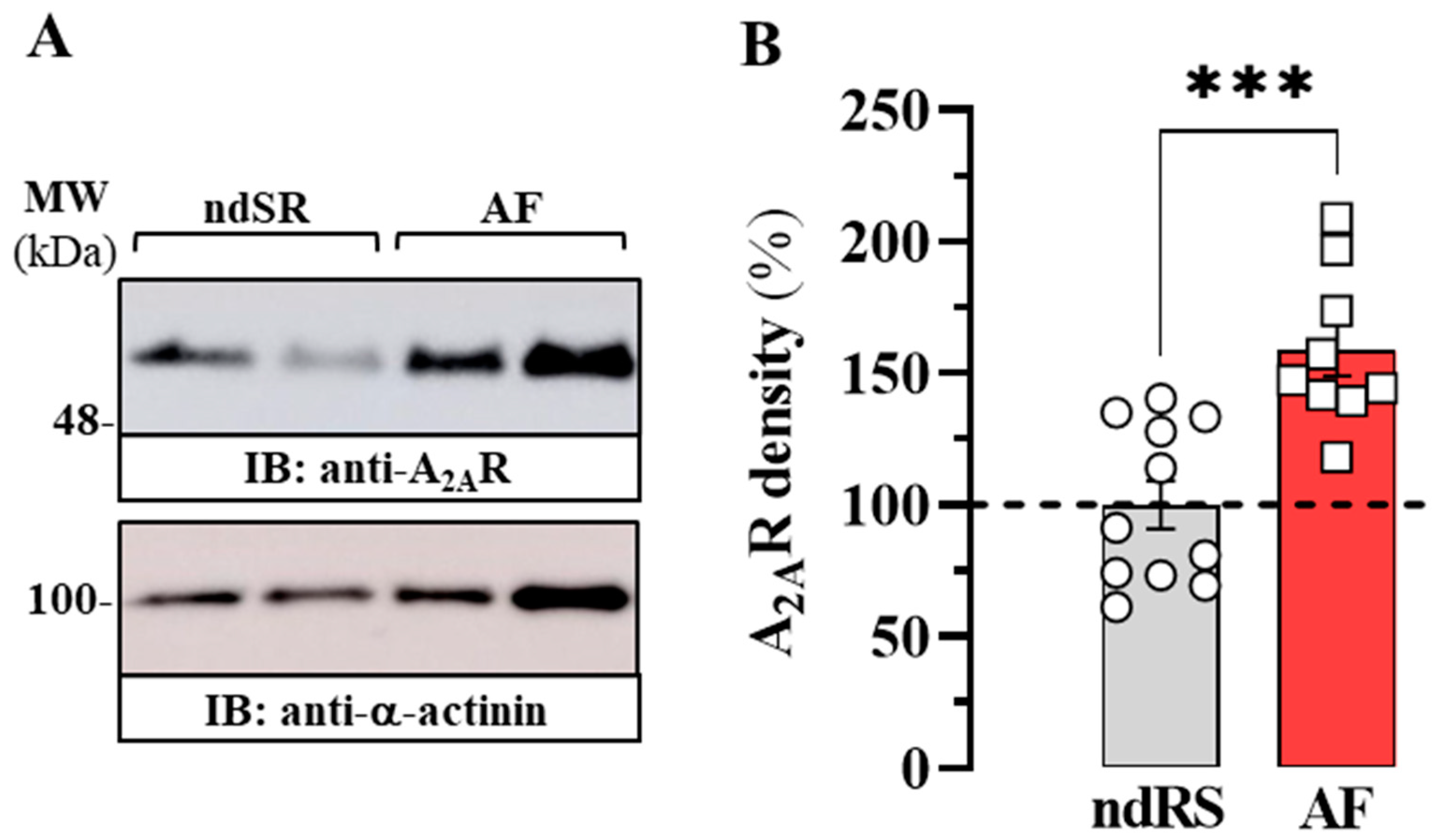 Ijms 24 03668 g005 Ijms 24 03668 g005