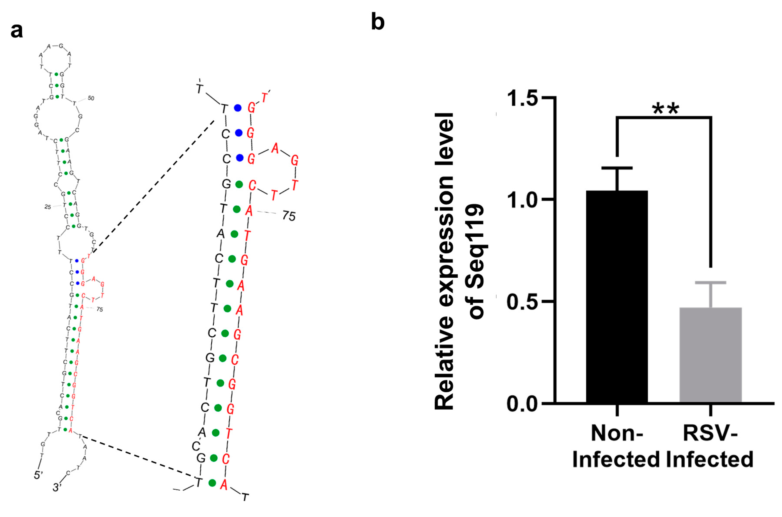 Ijms 24 03675 g001 Ijms 24 03675 g001