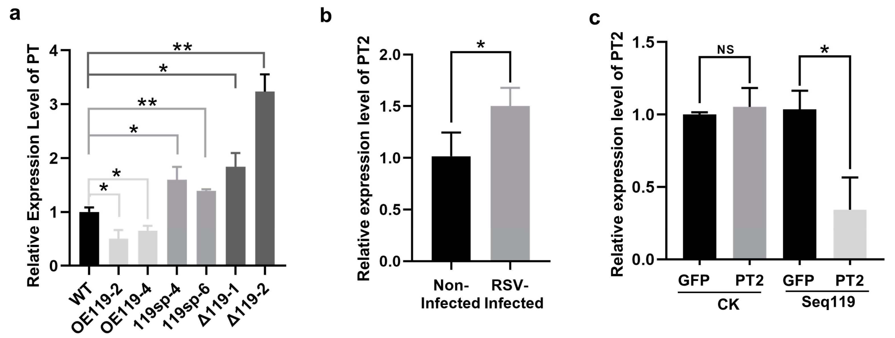 Ijms 24 03675 g005 Ijms 24 03675 g005