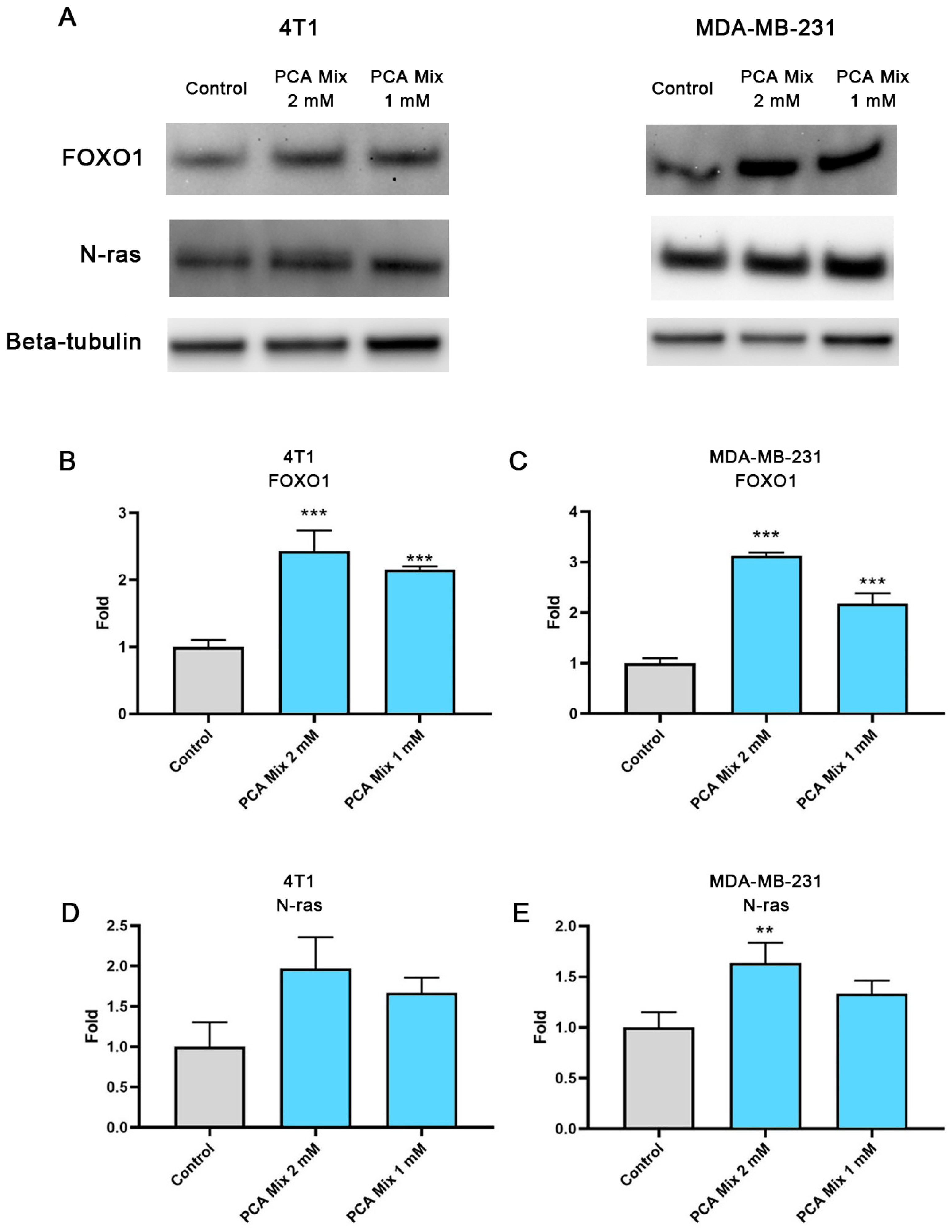 Ijms 24 03677 g004 Ijms 24 03677 g004