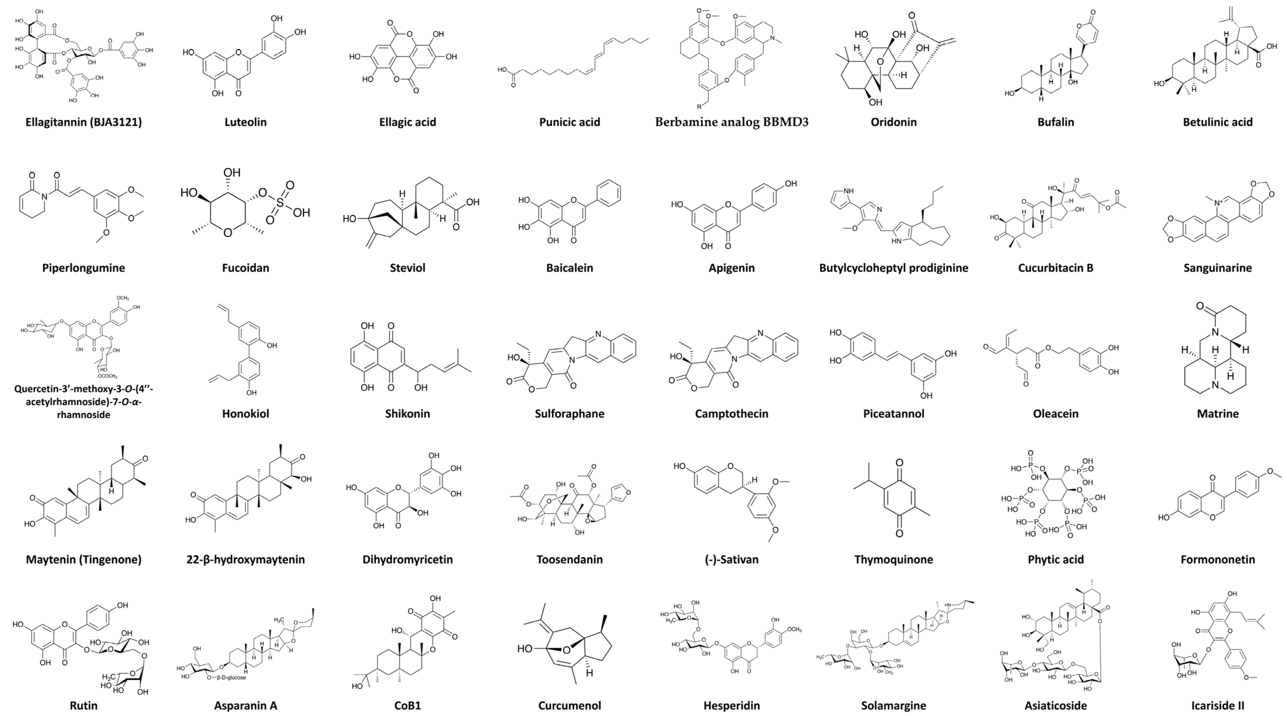 Ijms 24 03688 g002 Ijms 24 03688 g002
