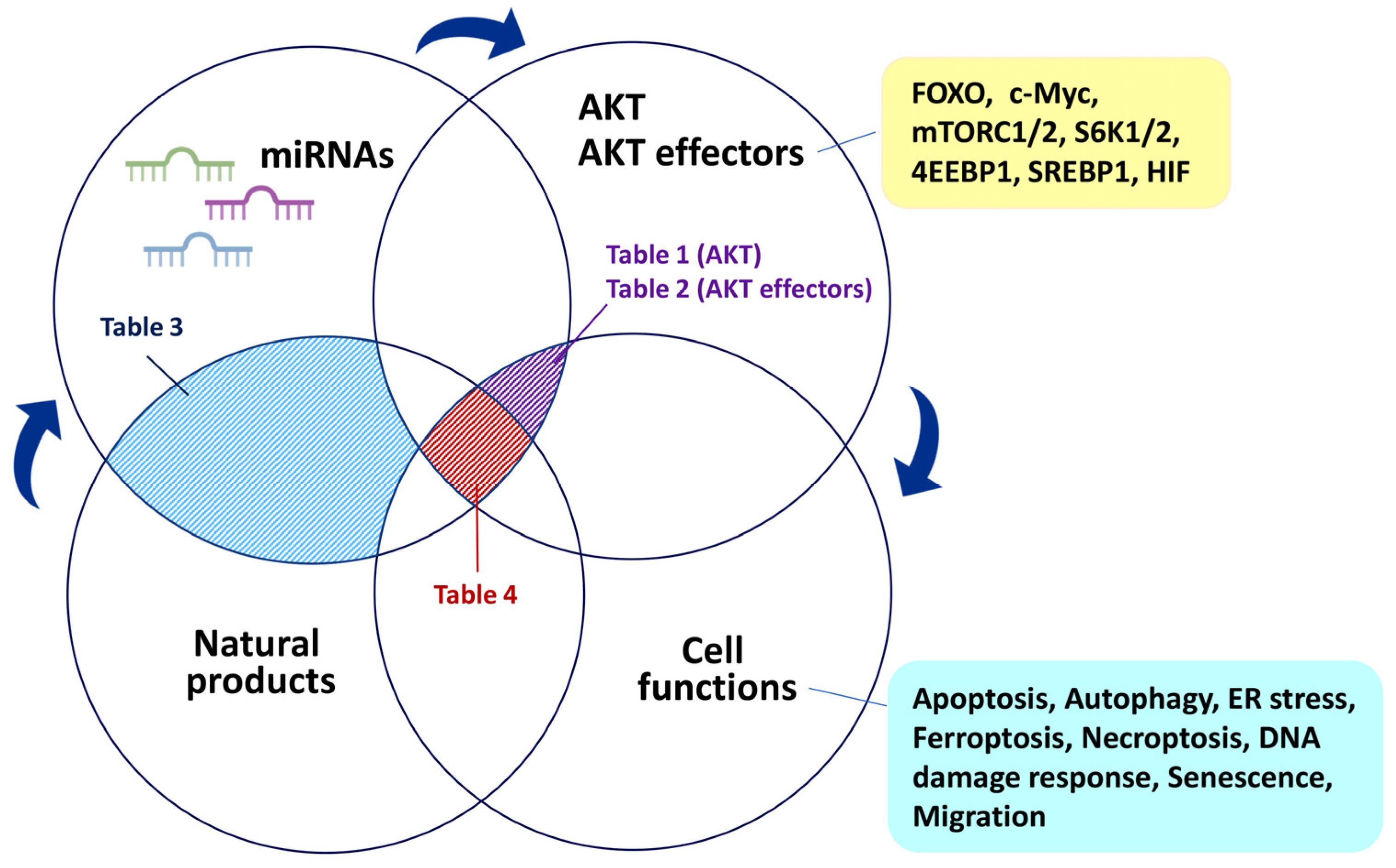 Ijms 24 03688 g003 Ijms 24 03688 g003