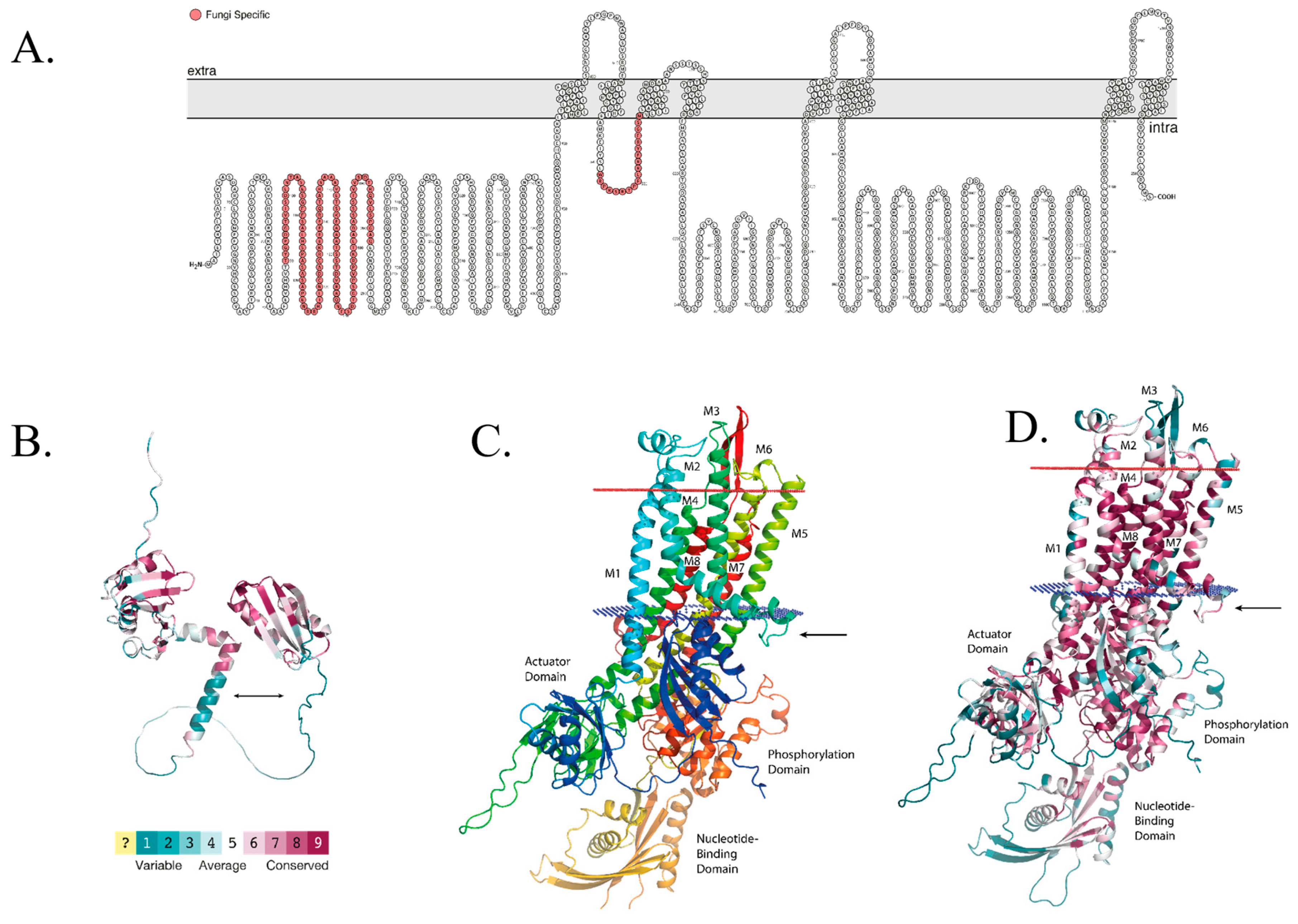 Ijms 24 03705 g001 Ijms 24 03705 g001
