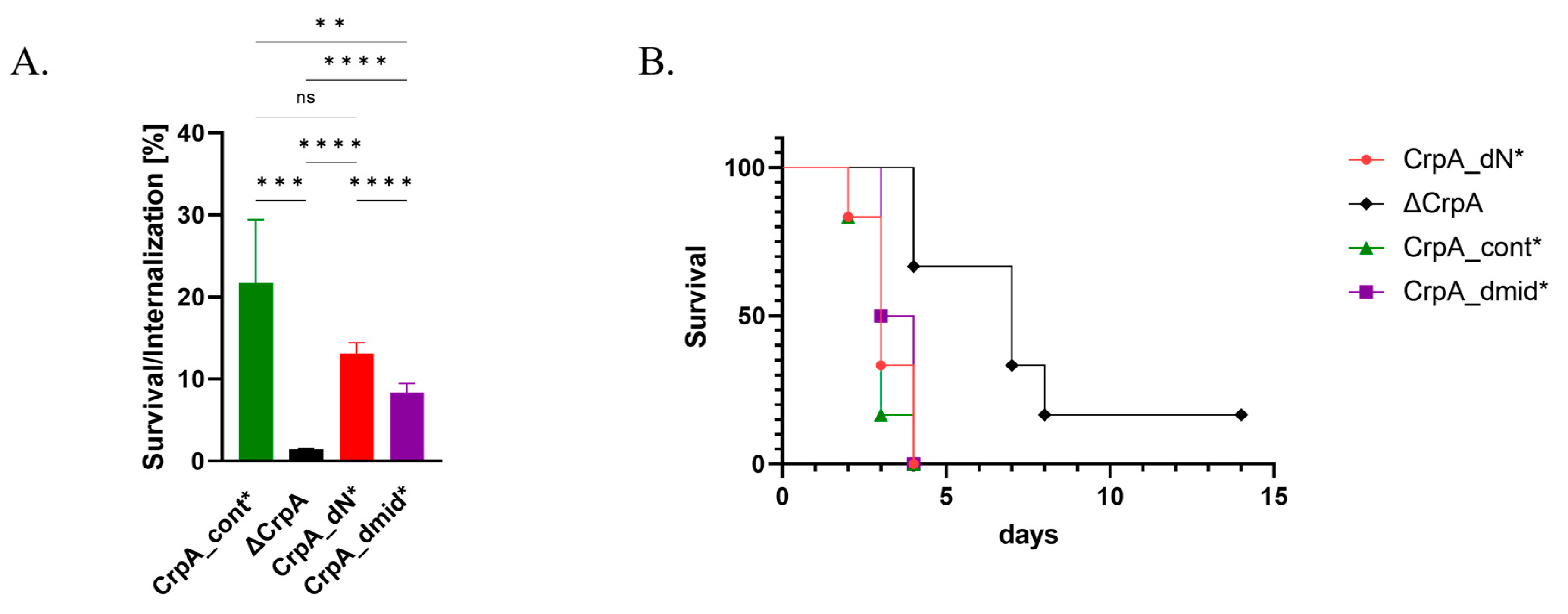 Ijms 24 03705 g005 Ijms 24 03705 g005