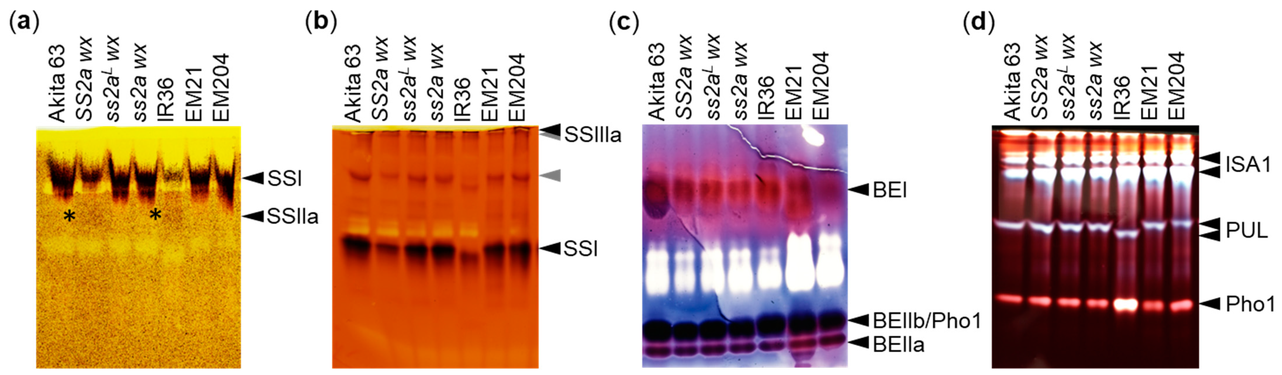 Ijms 24 03726 g003 Ijms 24 03726 g003