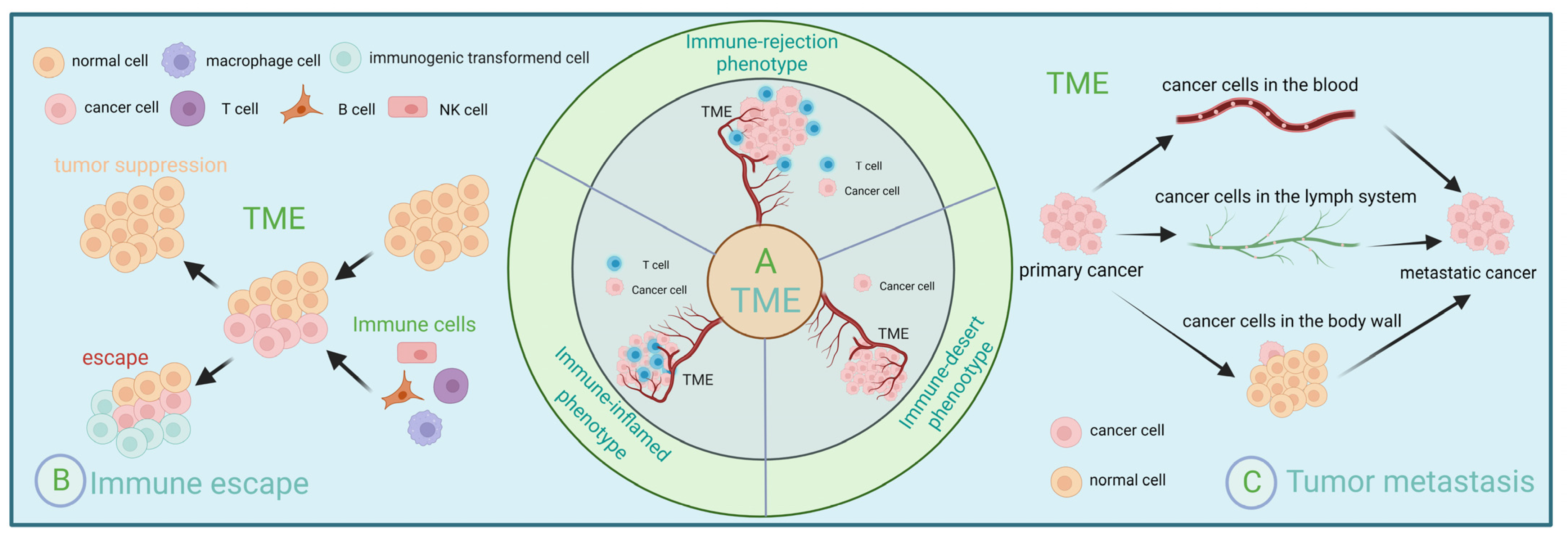 Ijms 24 03777 g001 Ijms 24 03777 g001