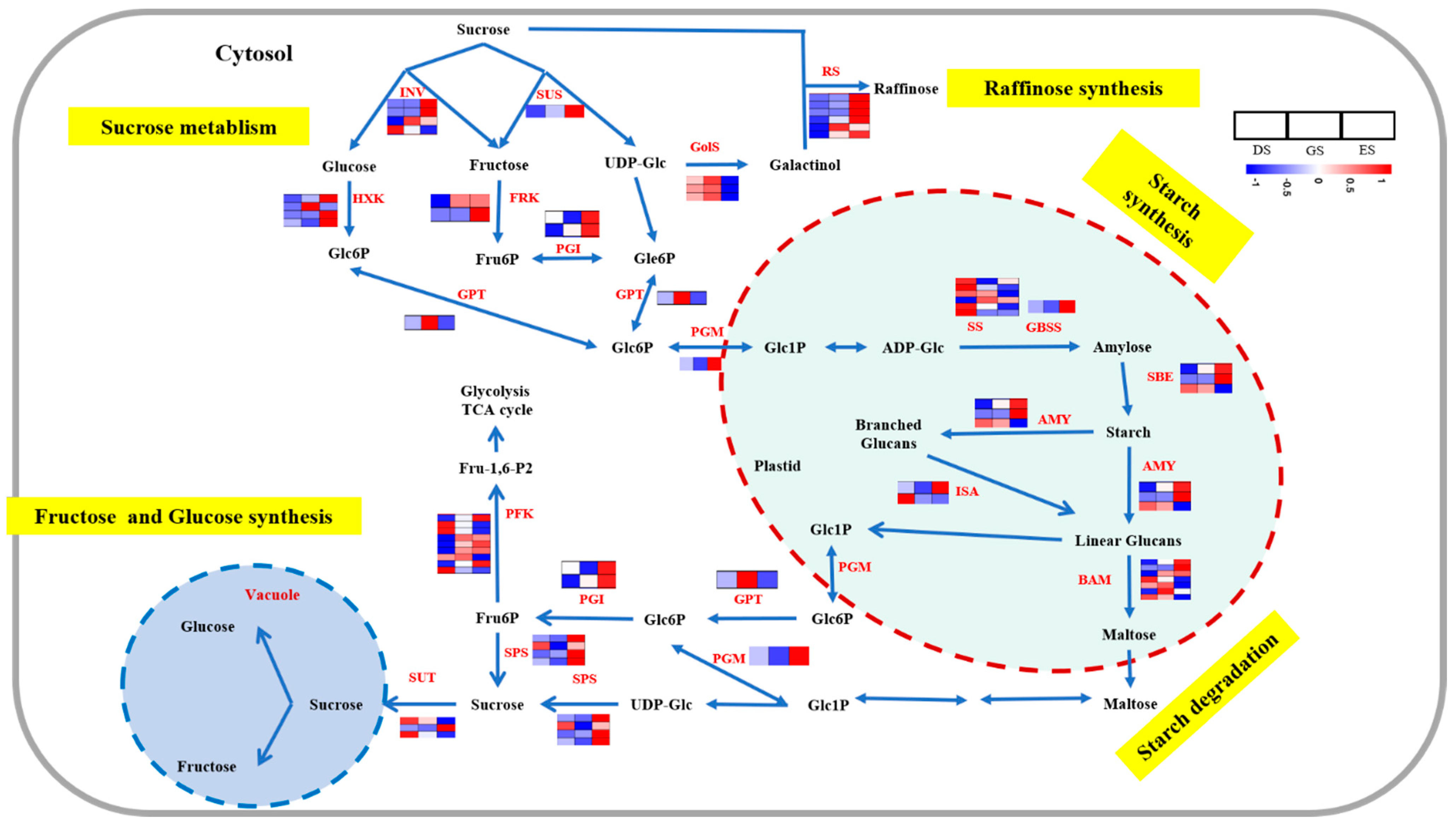 Ijms 24 03792 g007 Ijms 24 03792 g007