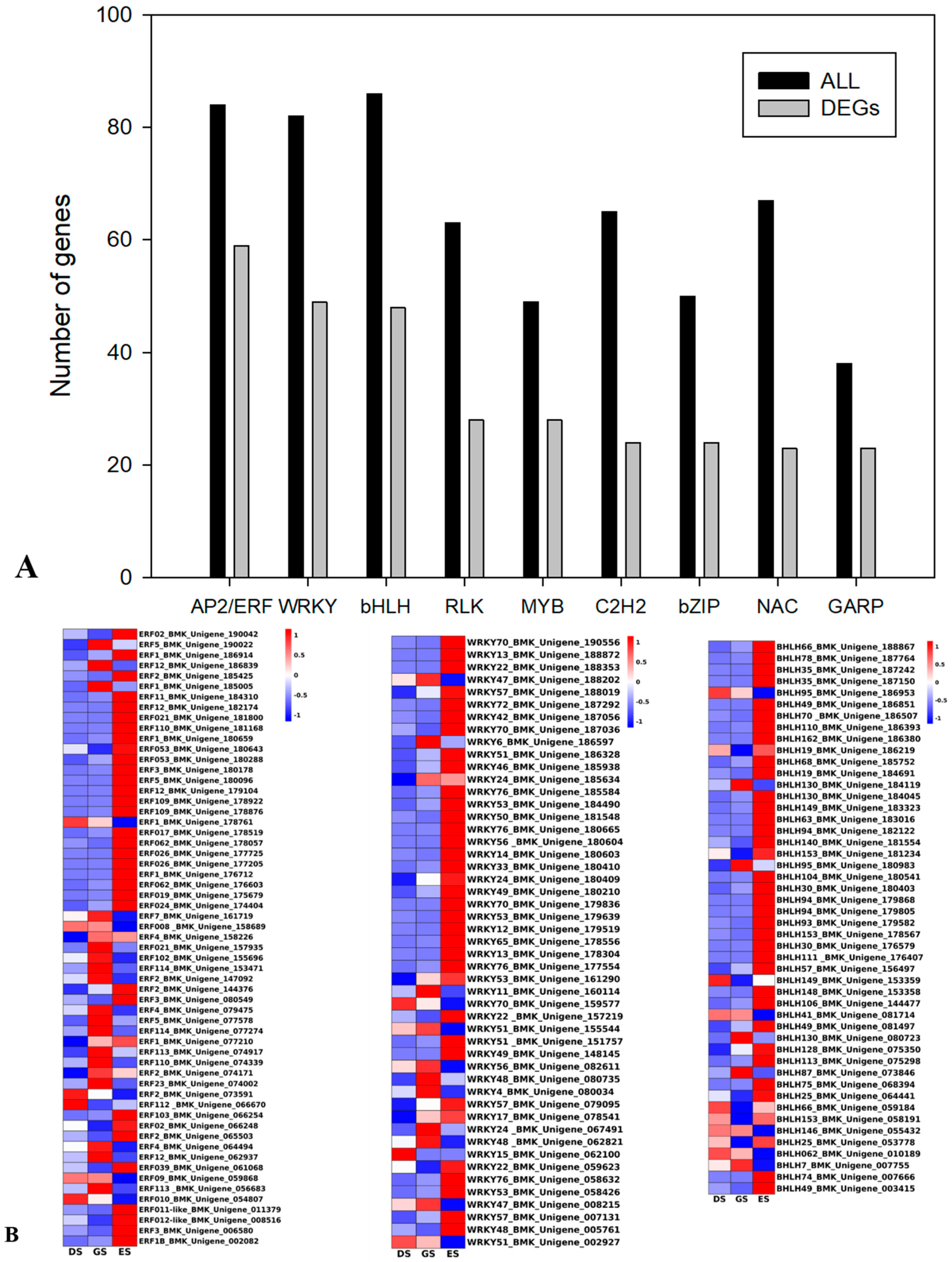 Ijms 24 03792 g008a Ijms 24 03792 g008a