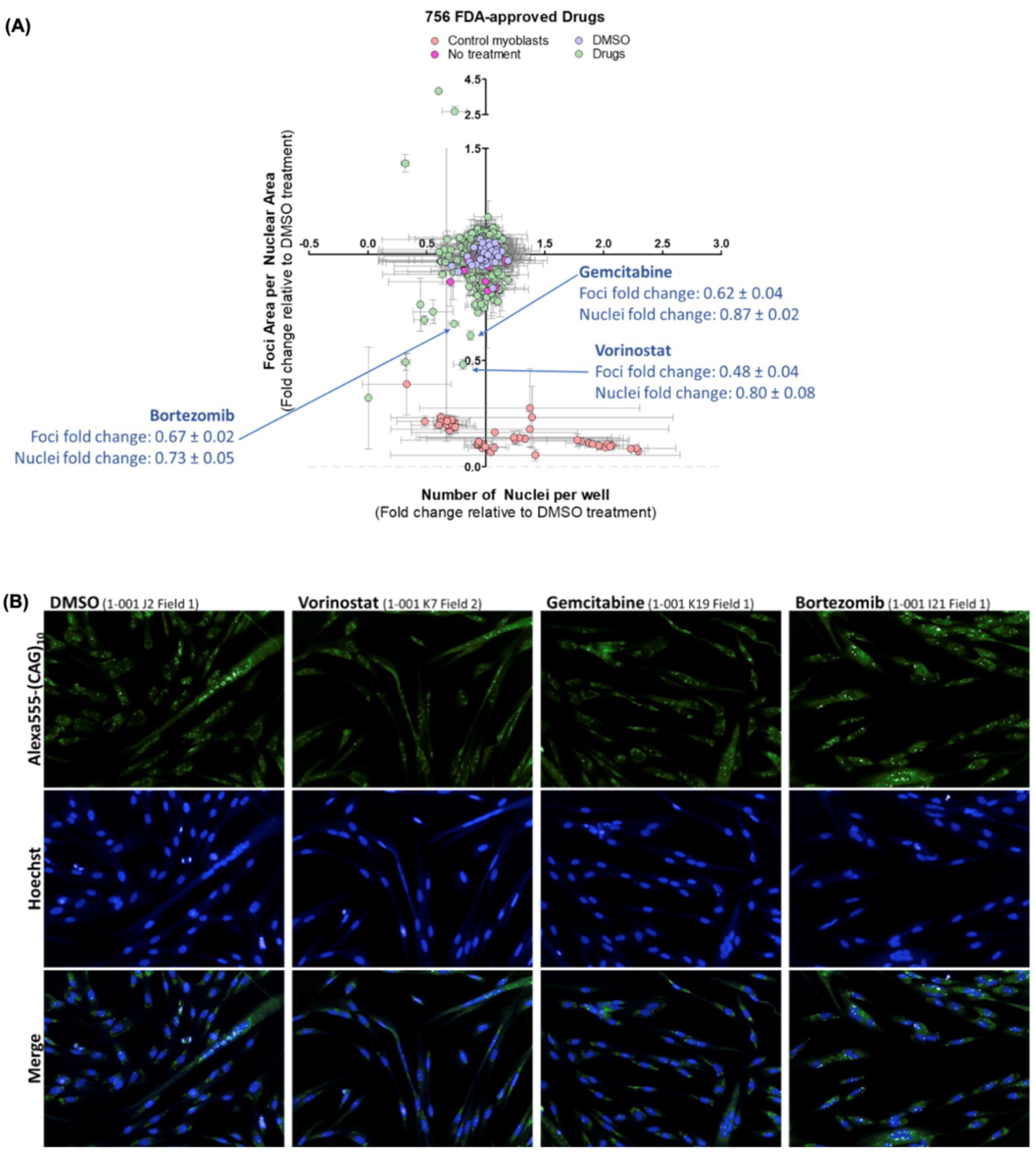 Ijms 24 03794 g001 Ijms 24 03794 g001