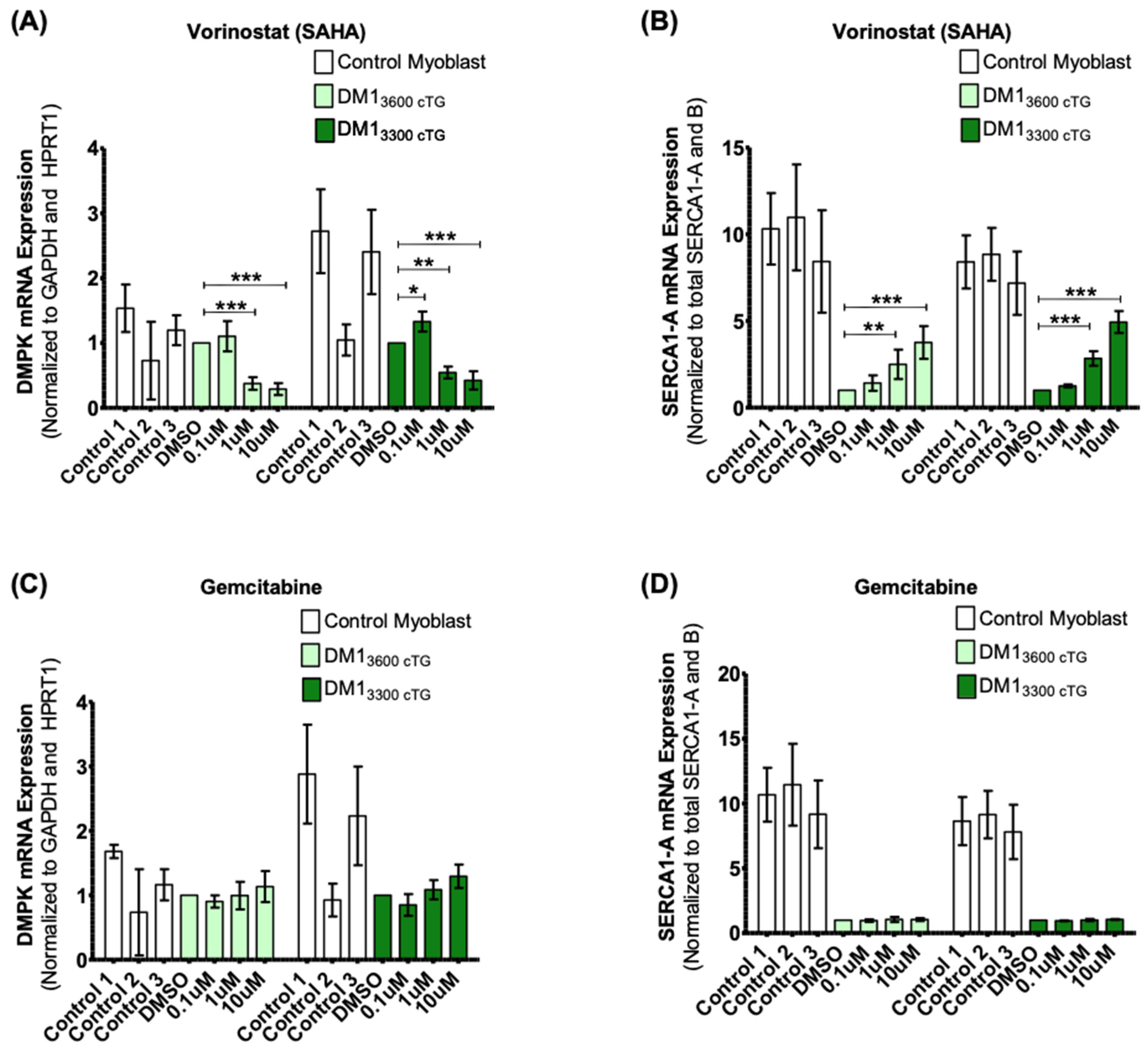 Ijms 24 03794 g003 Ijms 24 03794 g003