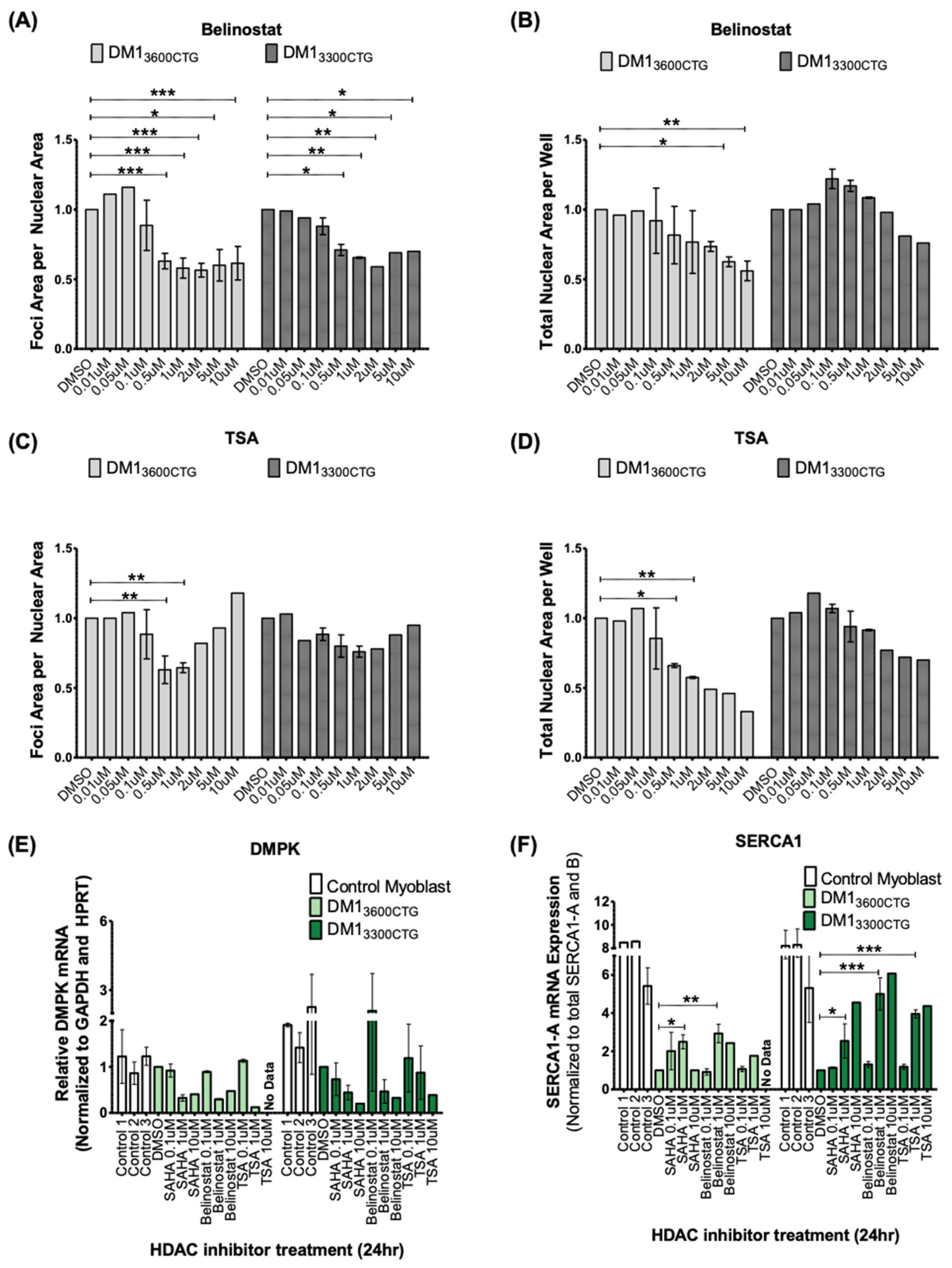 Ijms 24 03794 g005 Ijms 24 03794 g005