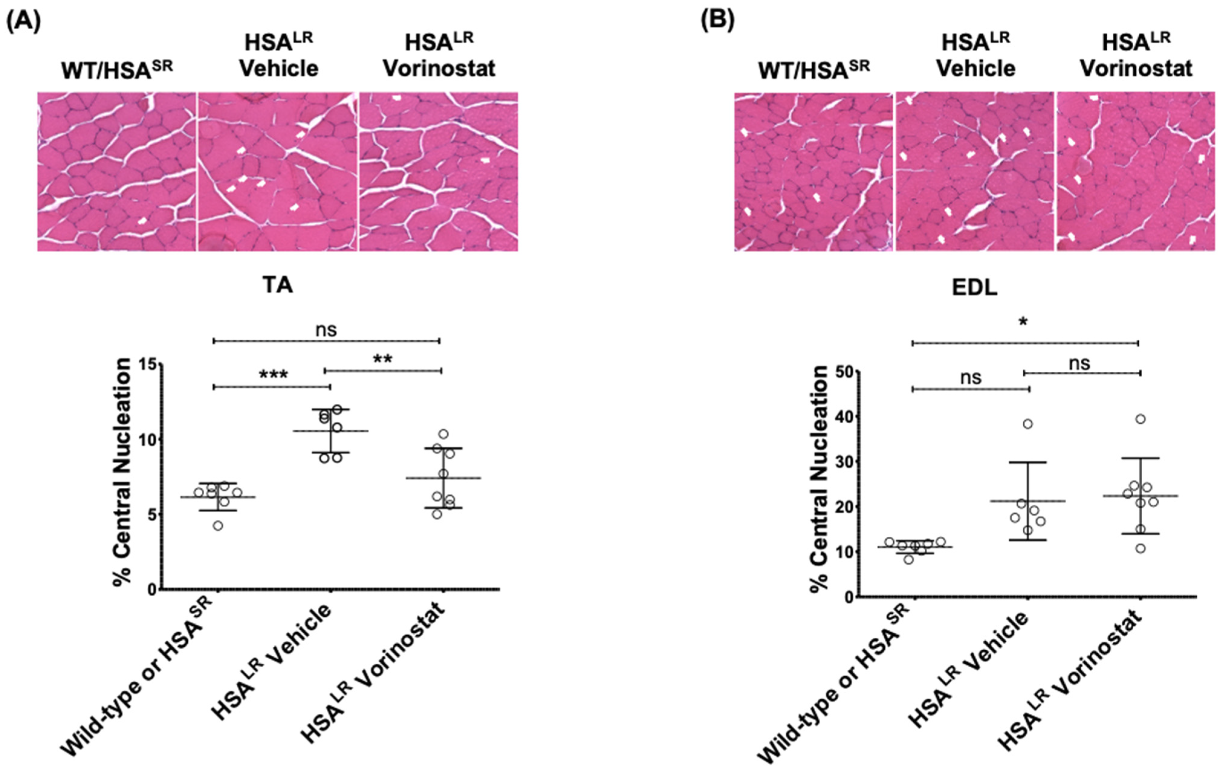 Ijms 24 03794 g007 Ijms 24 03794 g007