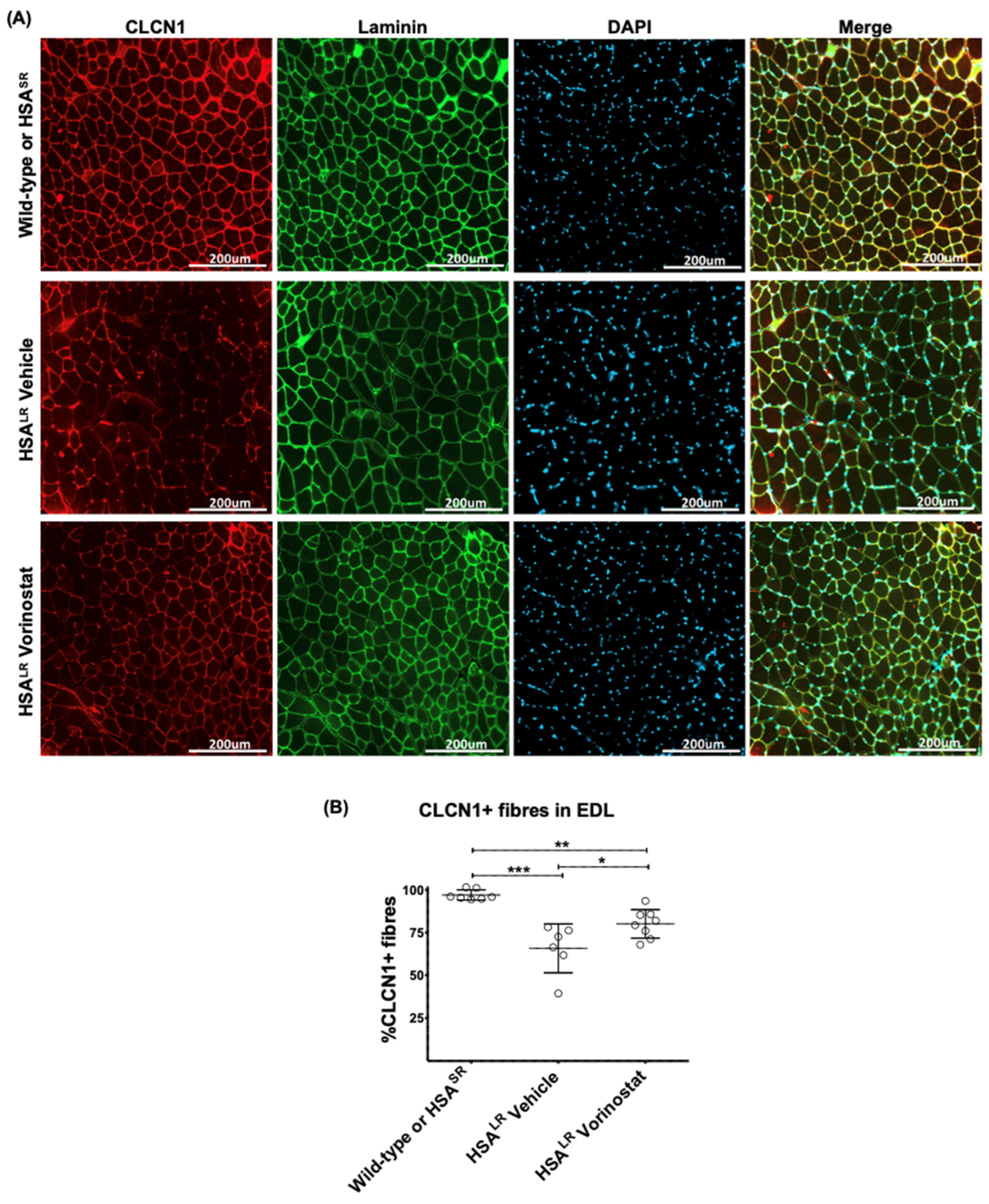 Ijms 24 03794 g008 Ijms 24 03794 g008