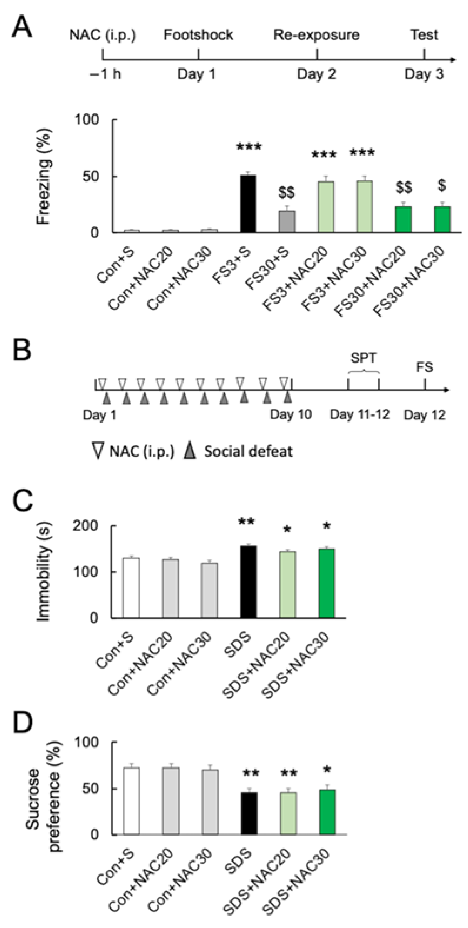 Ijms 24 03798 g003 Ijms 24 03798 g003