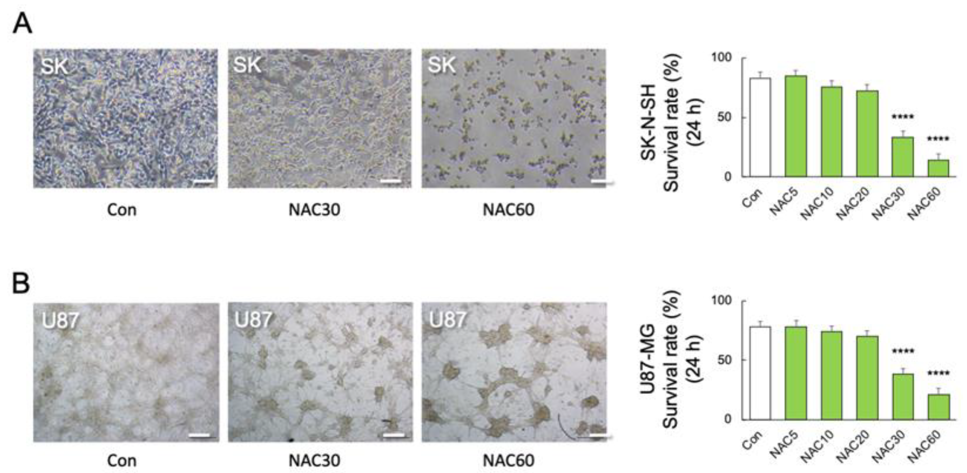 Ijms 24 03798 g005 Ijms 24 03798 g005