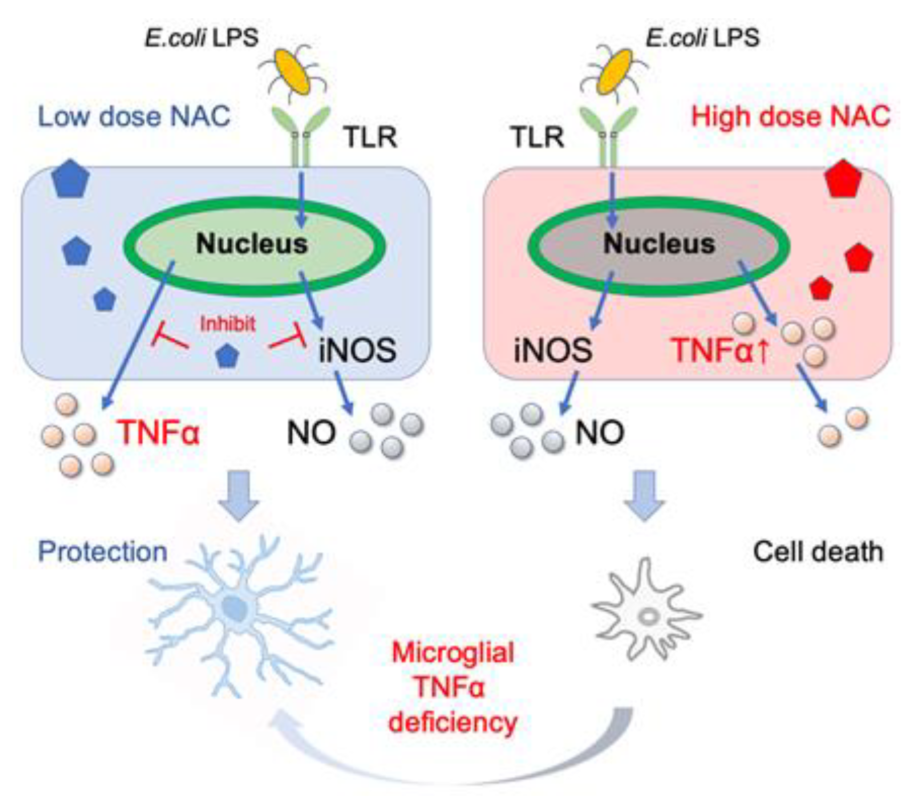 Ijms 24 03798 g006 Ijms 24 03798 g006