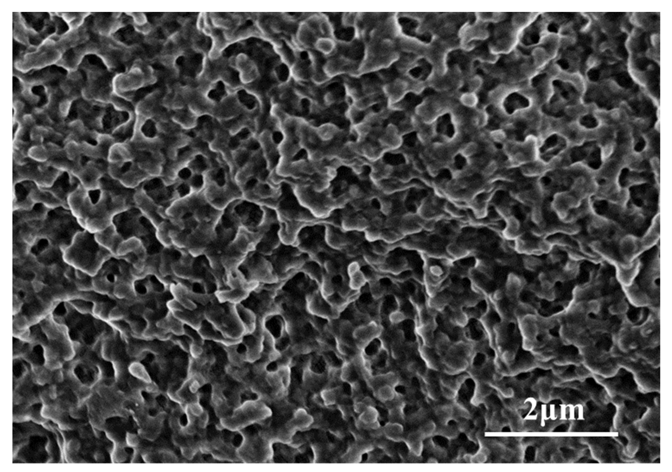 Ijms 24 03864 g006 Ijms 24 03864 g006