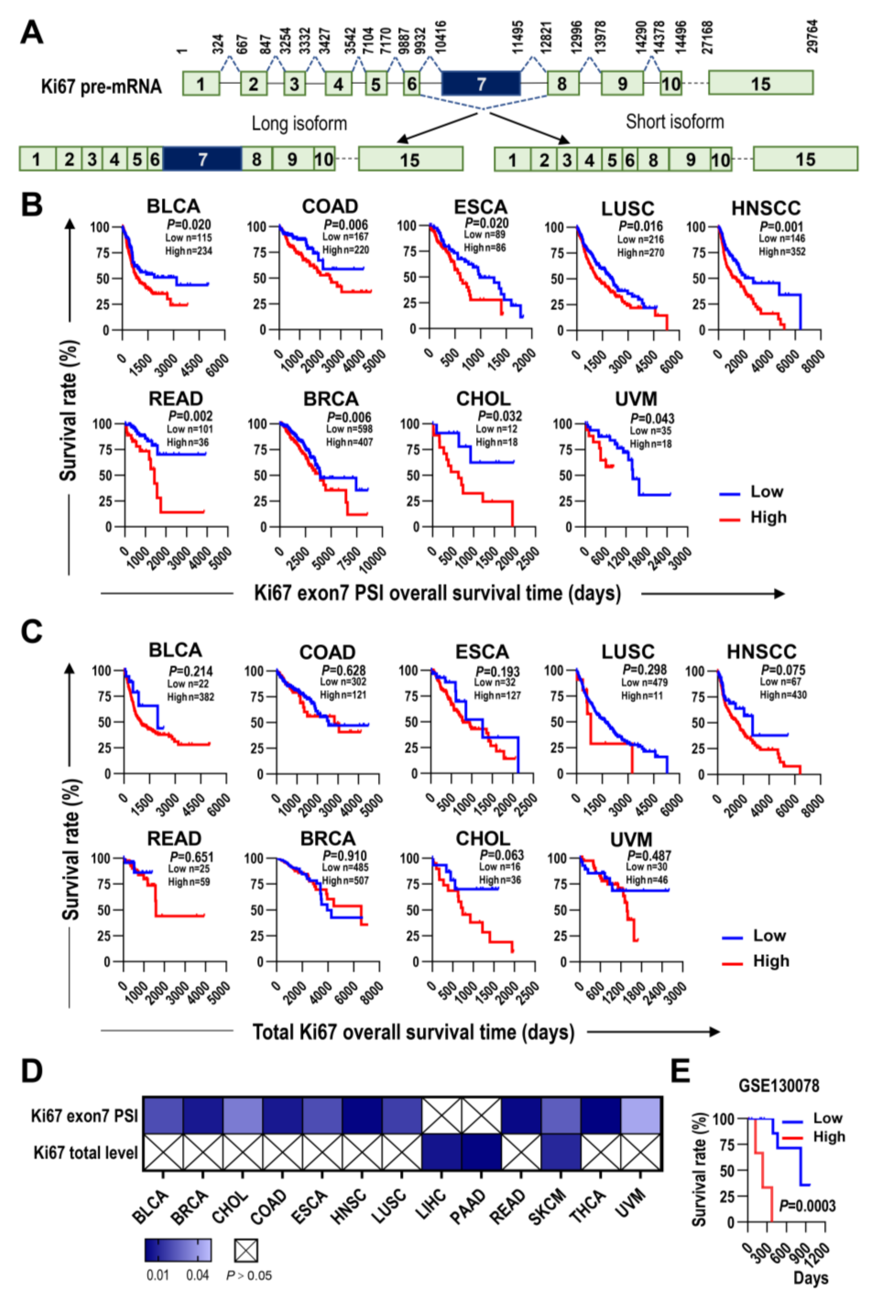 Ijms 24 03872 g001 Ijms 24 03872 g001