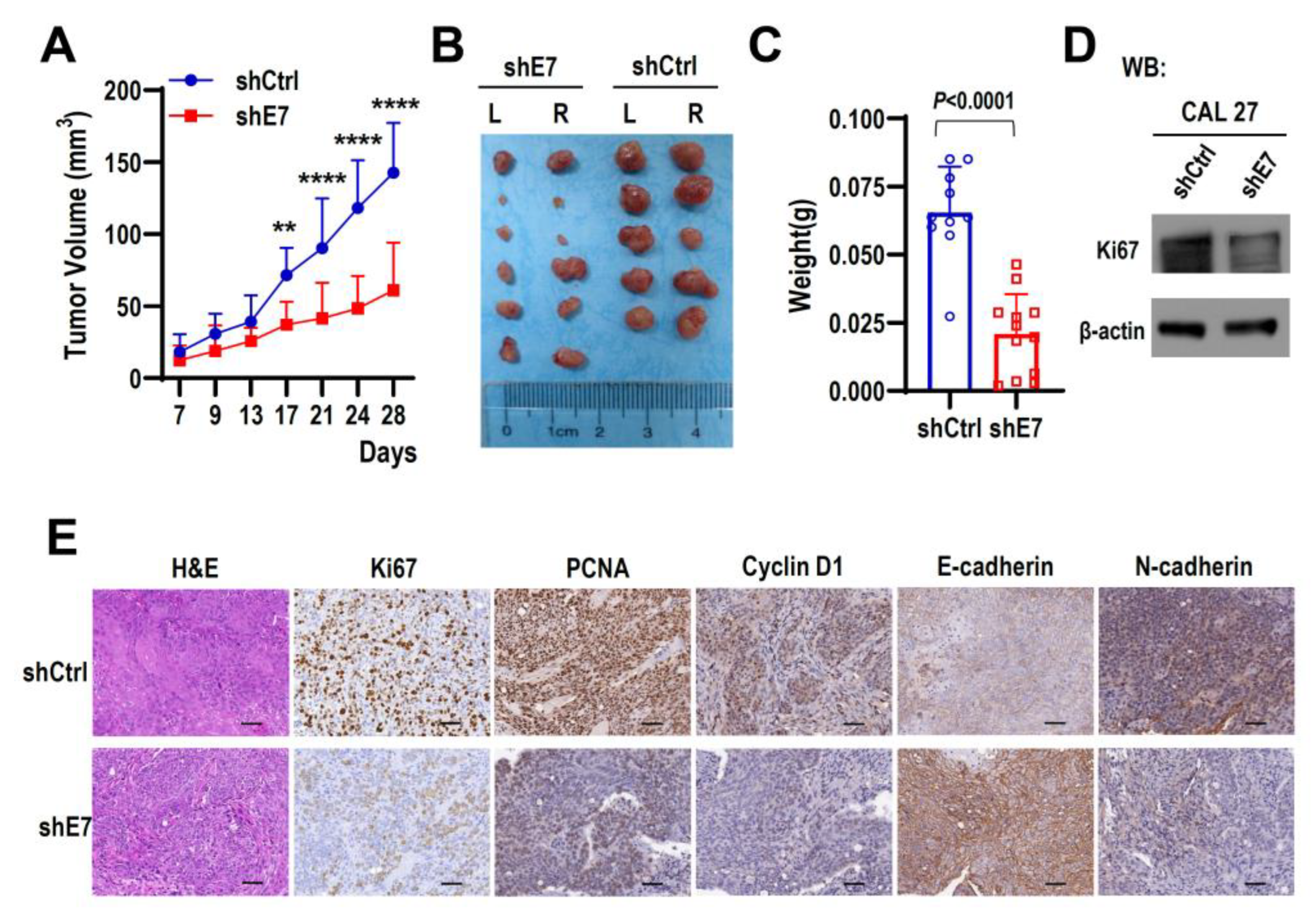 Ijms 24 03872 g003 Ijms 24 03872 g003