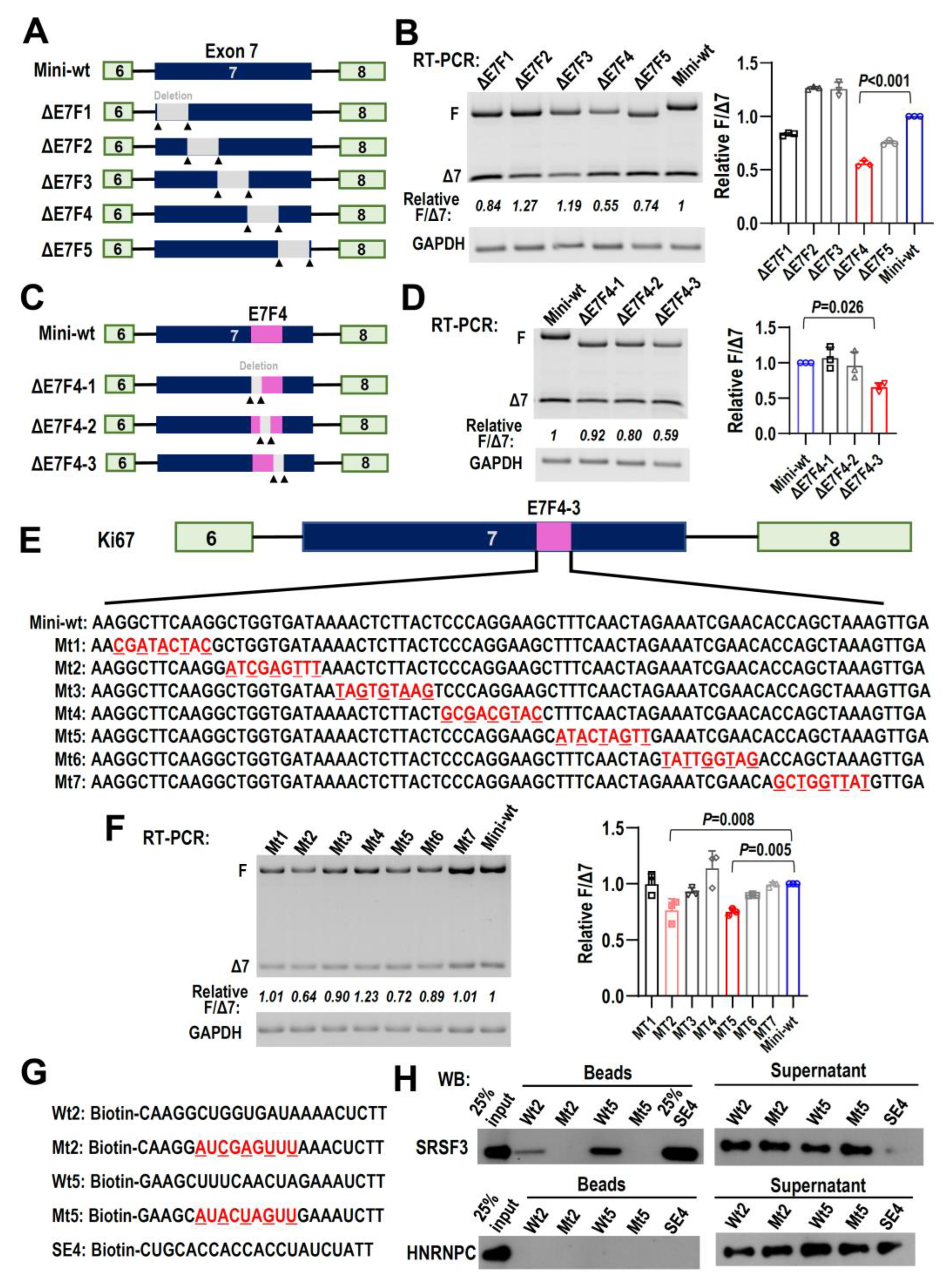 Ijms 24 03872 g006 Ijms 24 03872 g006