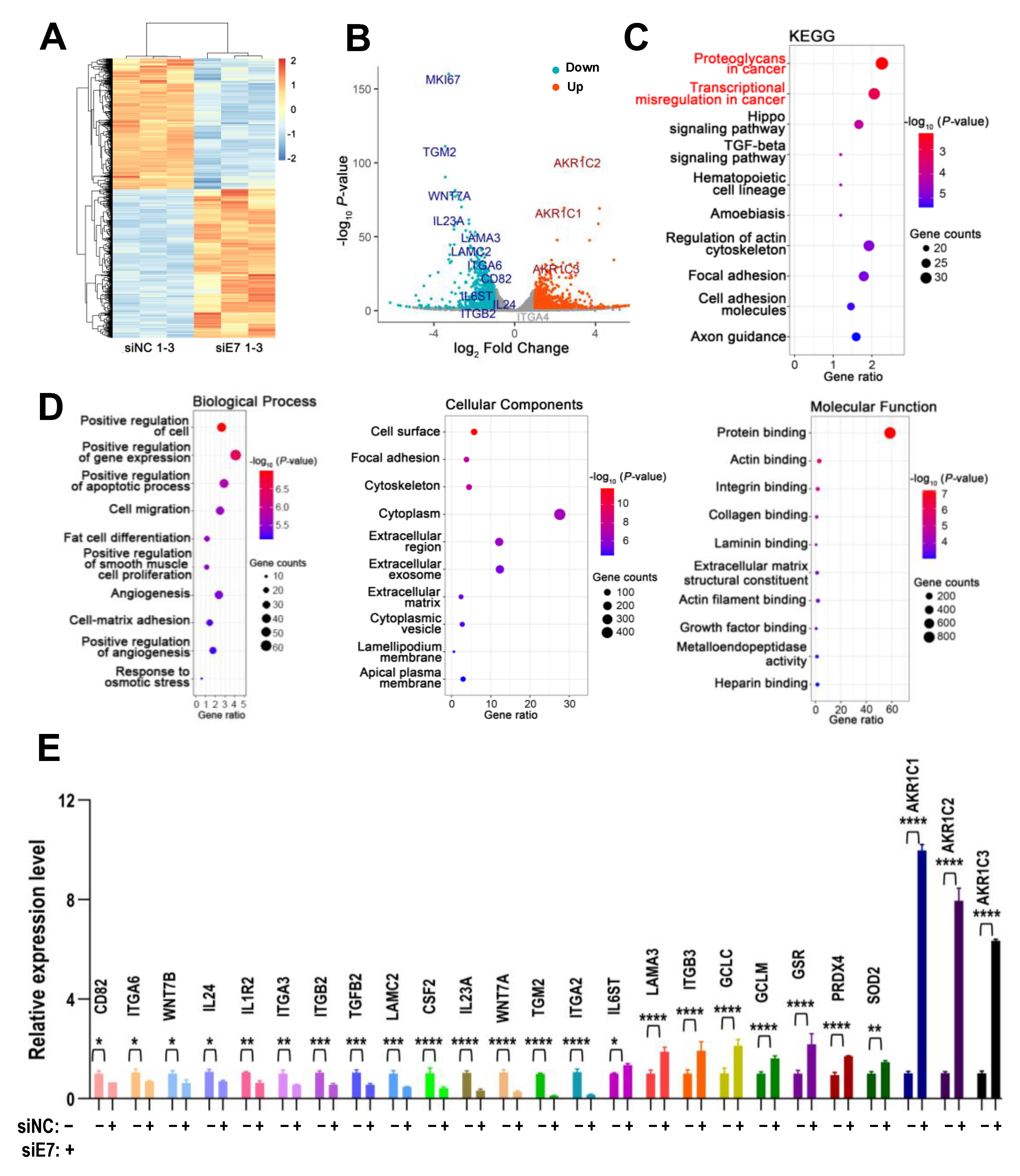 Ijms 24 03872 g007 Ijms 24 03872 g007