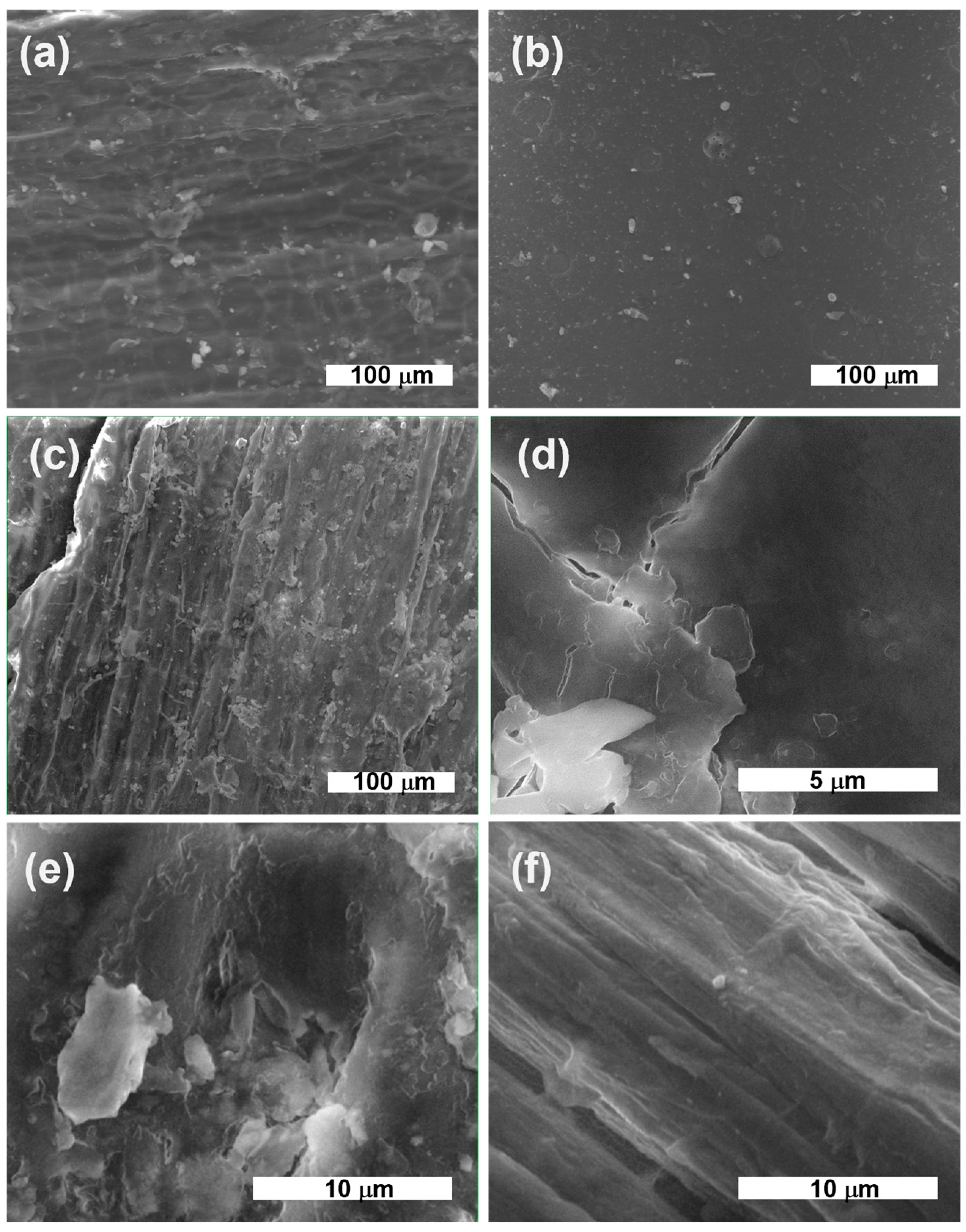 Ijms 24 03892 g001 Ijms 24 03892 g001