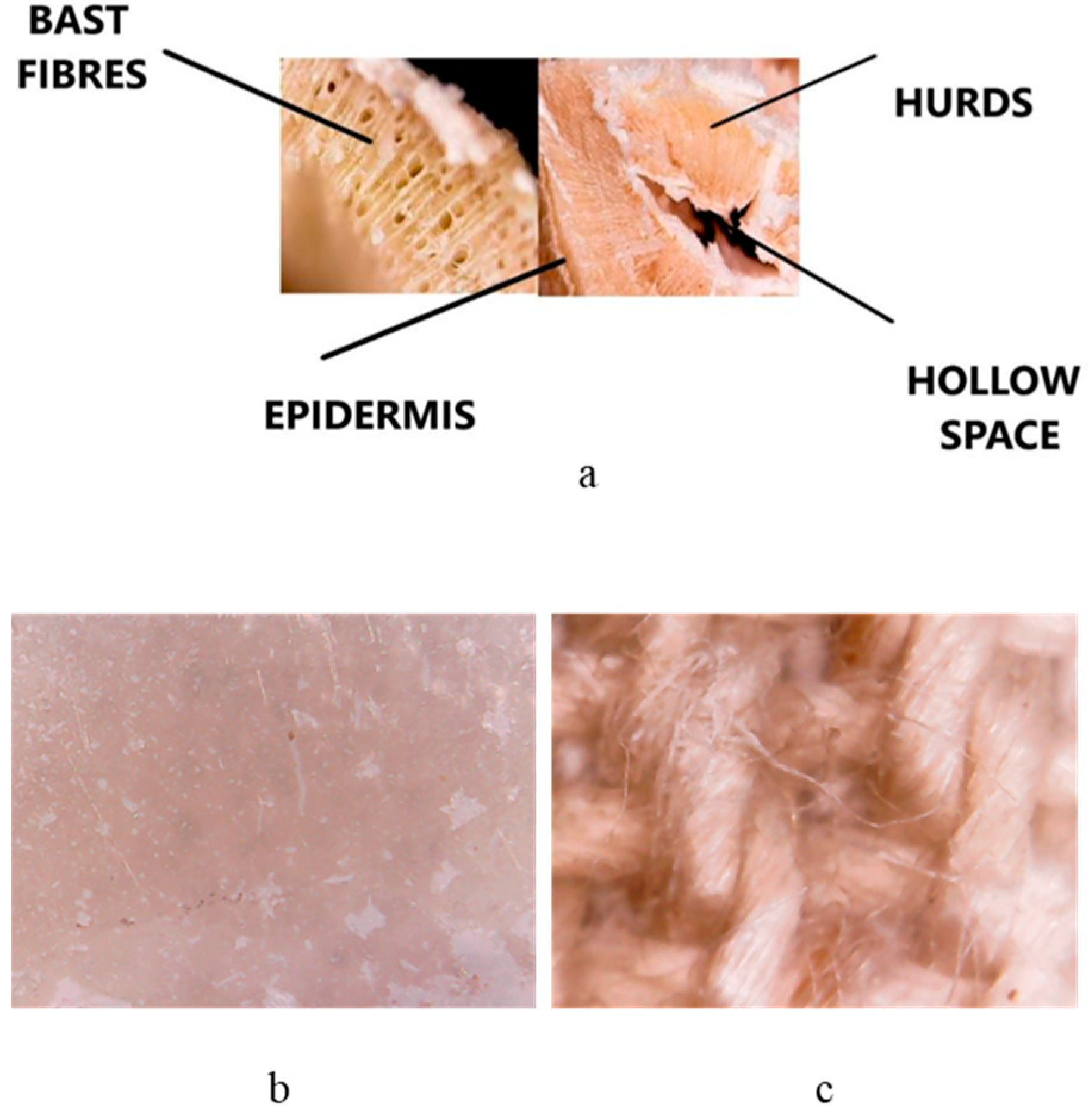 Ijms 24 03892 g002 Ijms 24 03892 g002