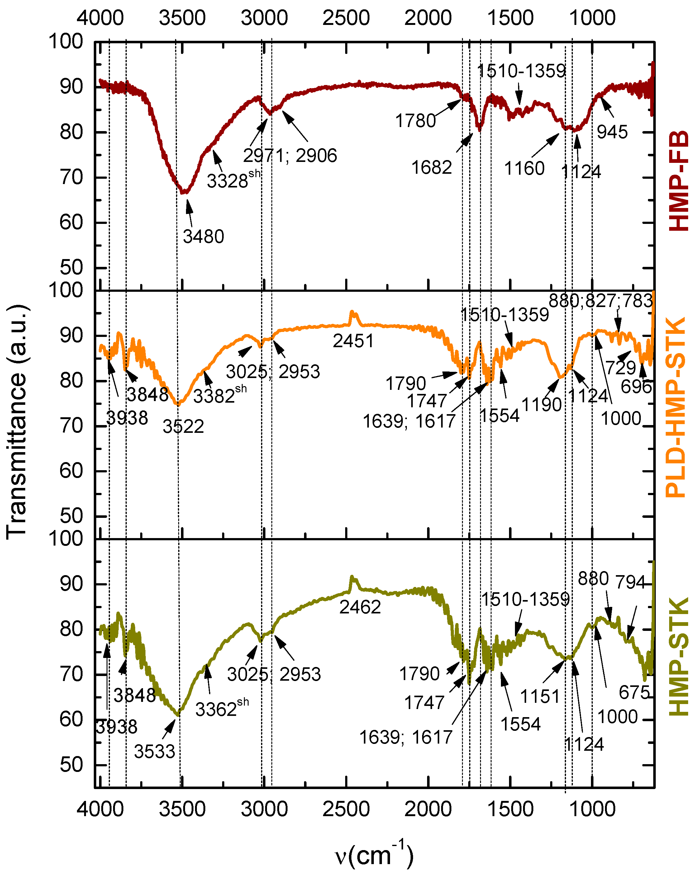 Ijms 24 03892 g004 Ijms 24 03892 g004