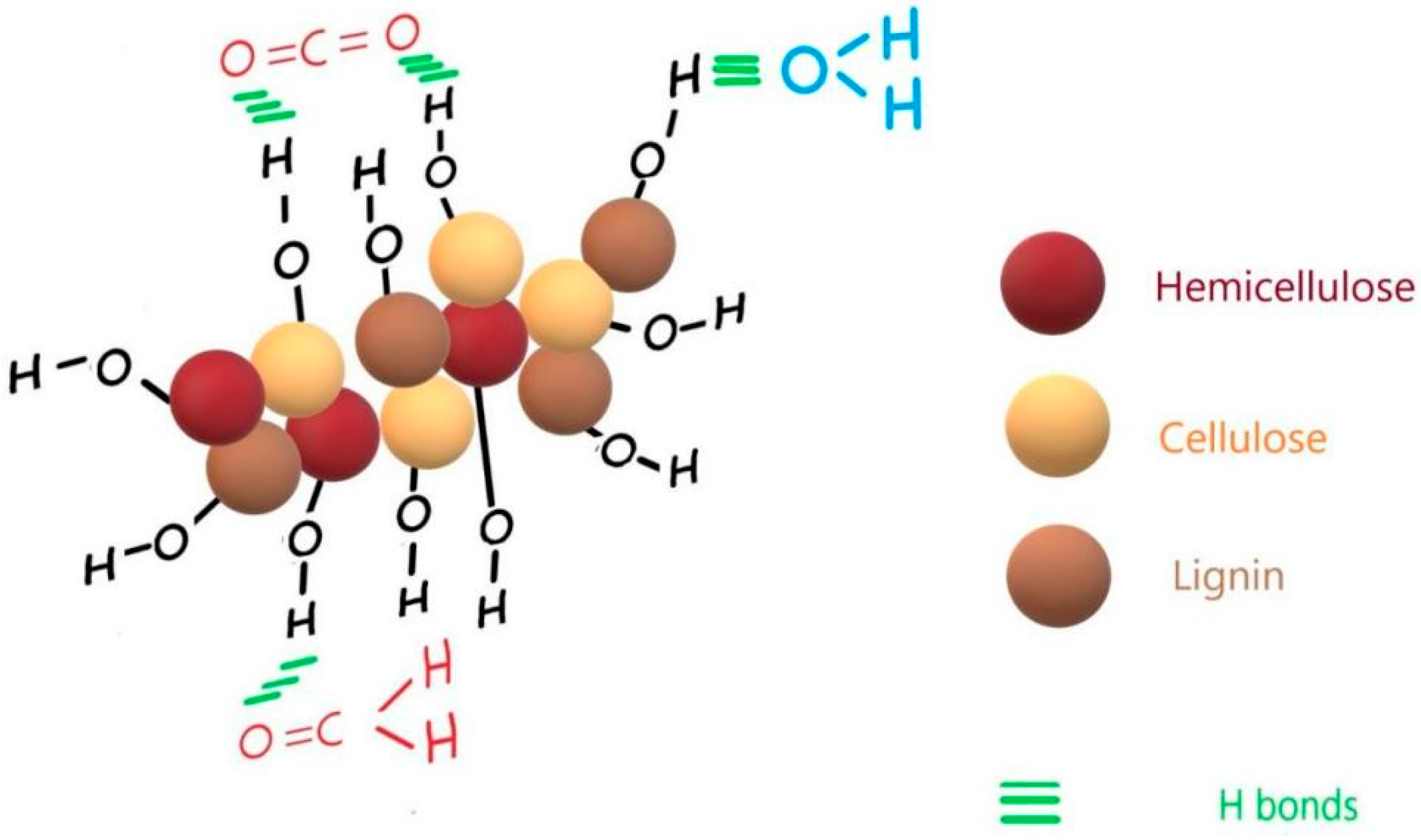 Ijms 24 03892 g005 Ijms 24 03892 g005