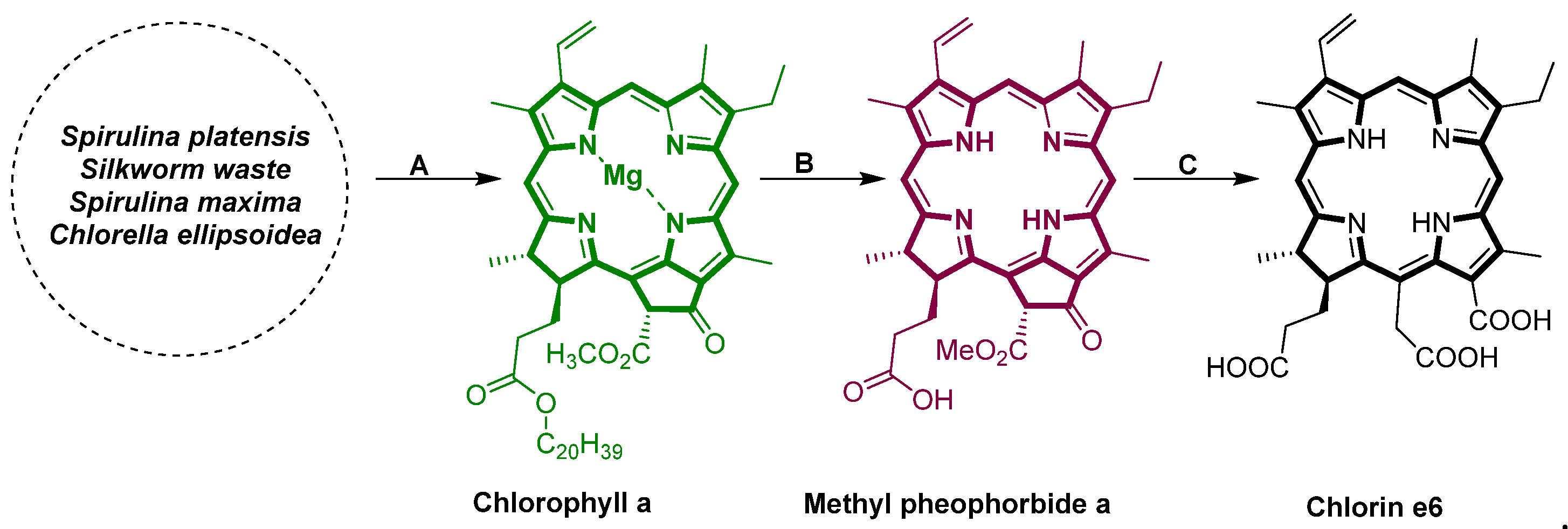 Ijms 24 03901 sch001