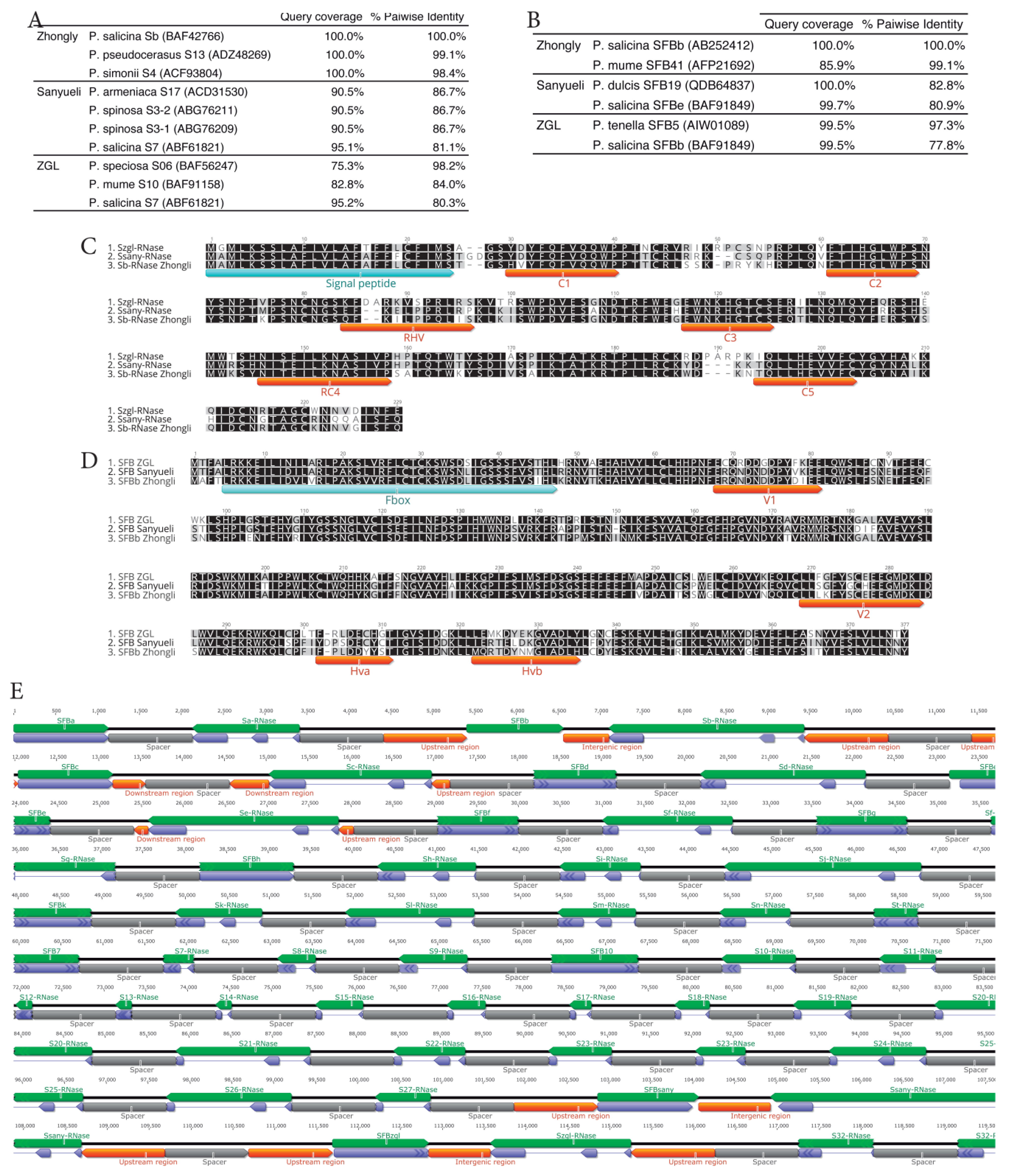 Ijms 24 03932 g001 Ijms 24 03932 g001