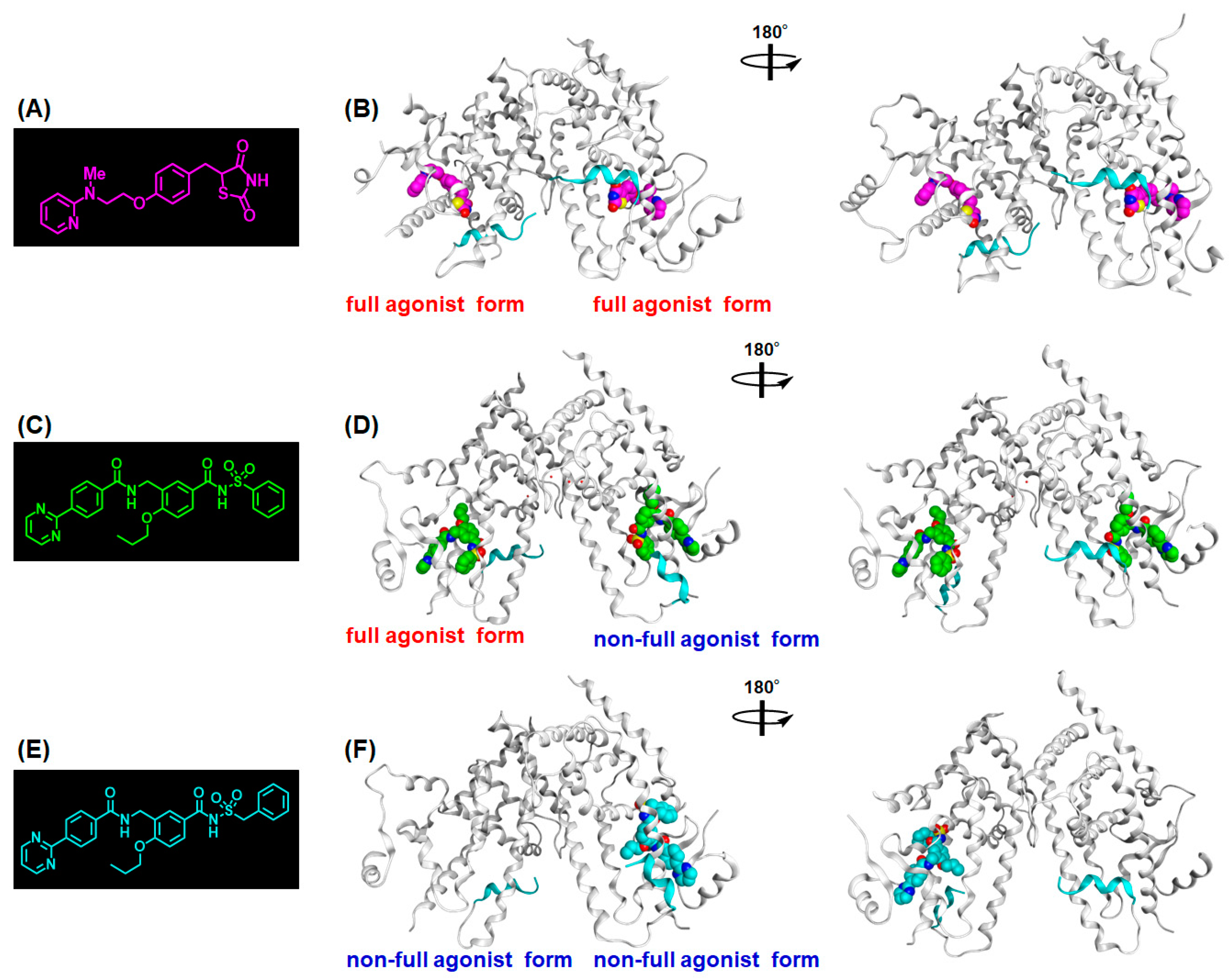 Ijms 24 03940 g003 Ijms 24 03940 g003