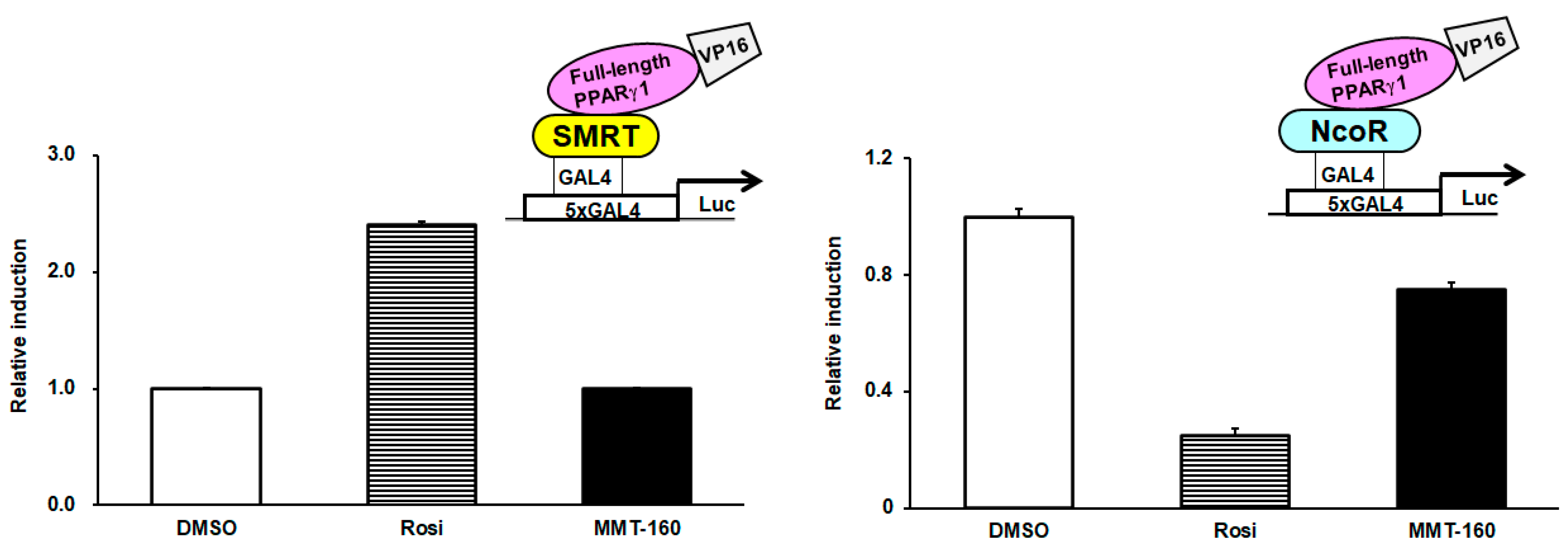 Ijms 24 03940 g008 Ijms 24 03940 g008
