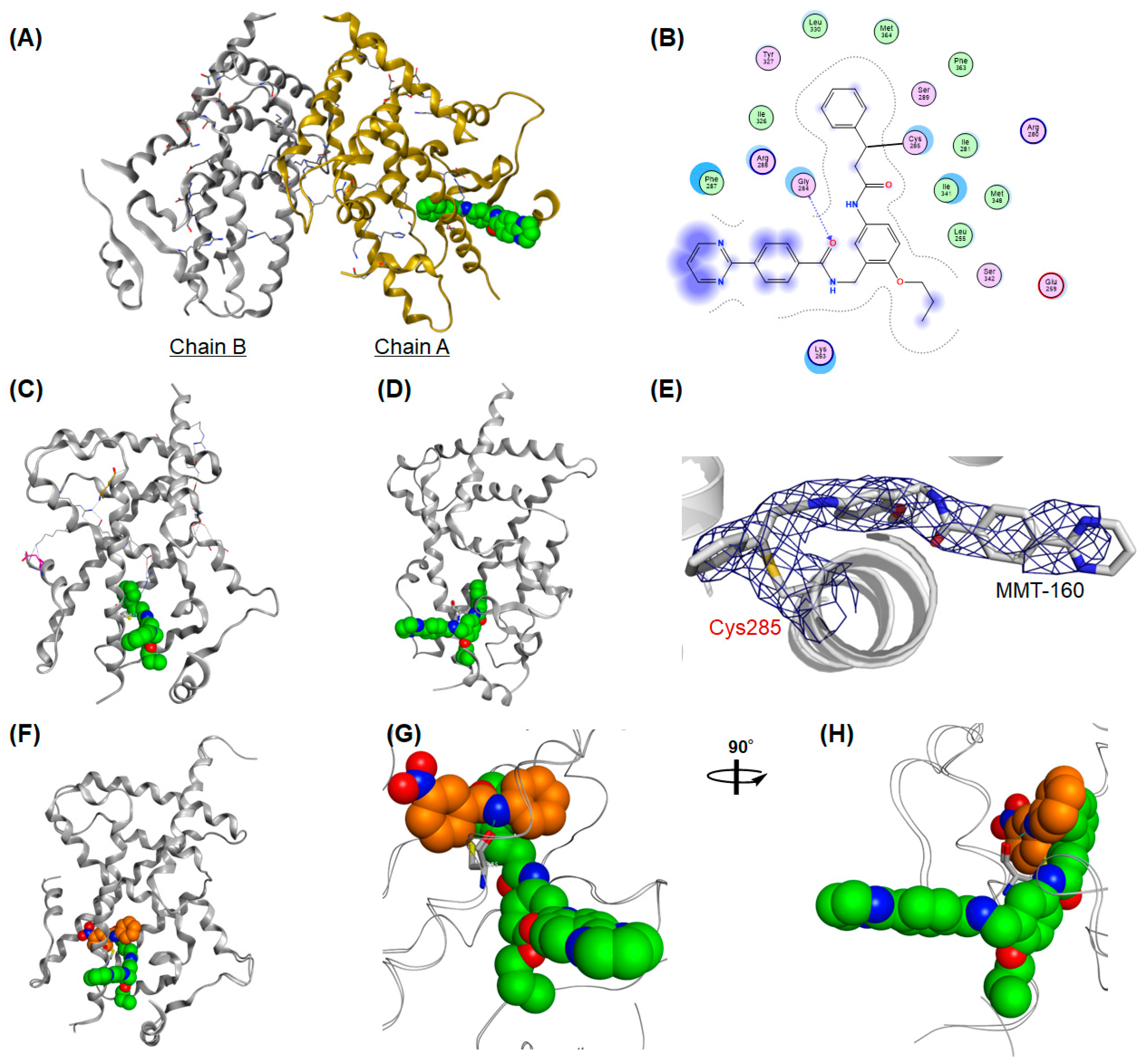 Ijms 24 03940 g011 Ijms 24 03940 g011